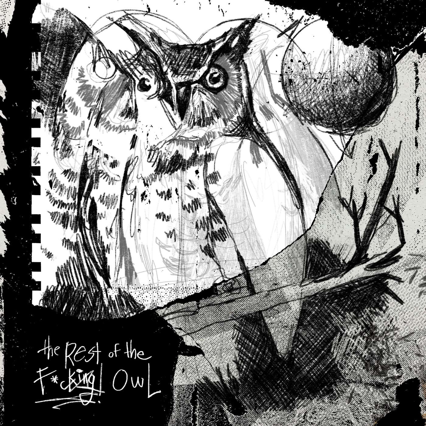 The Rest of the Owl