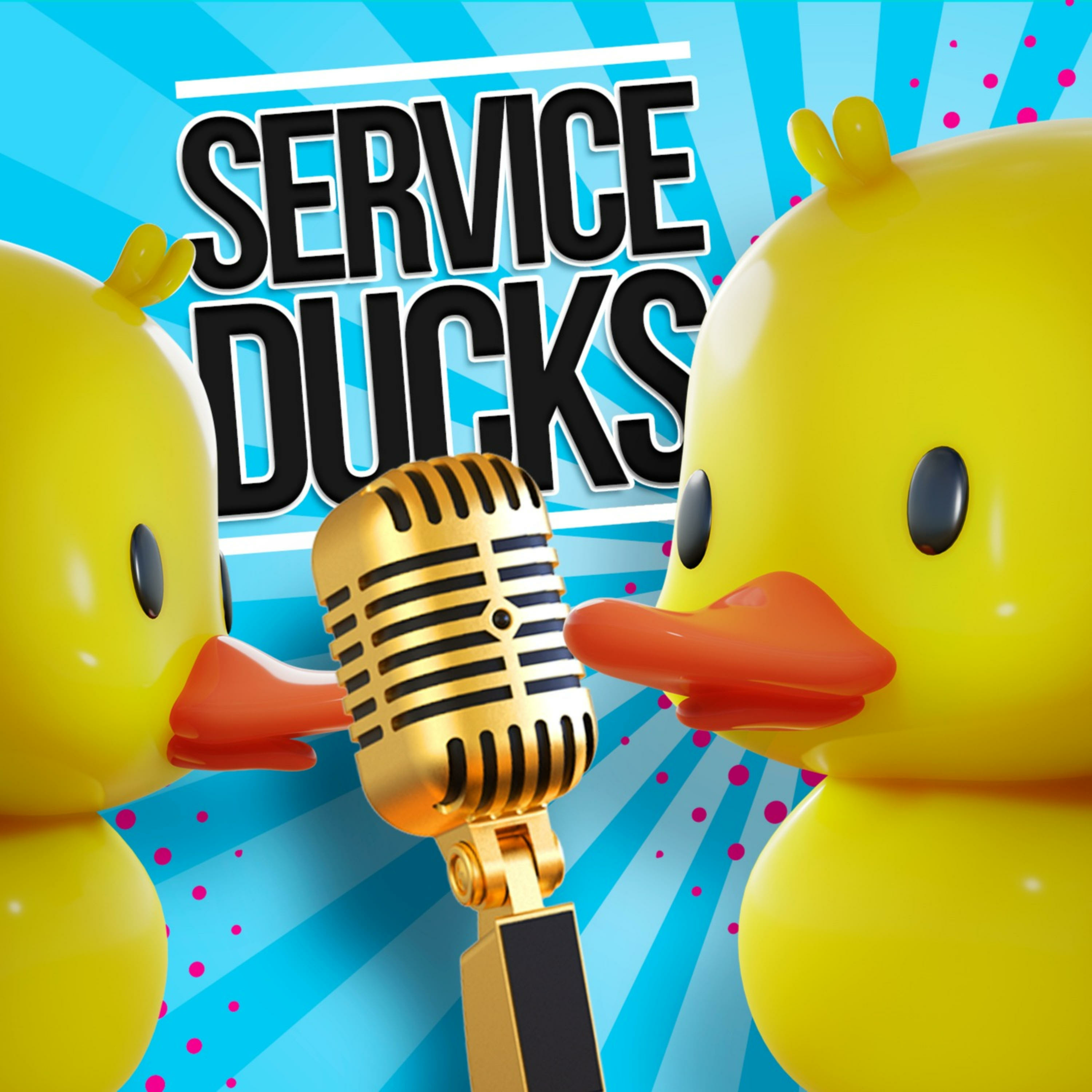 The Service Ducks Podcast
