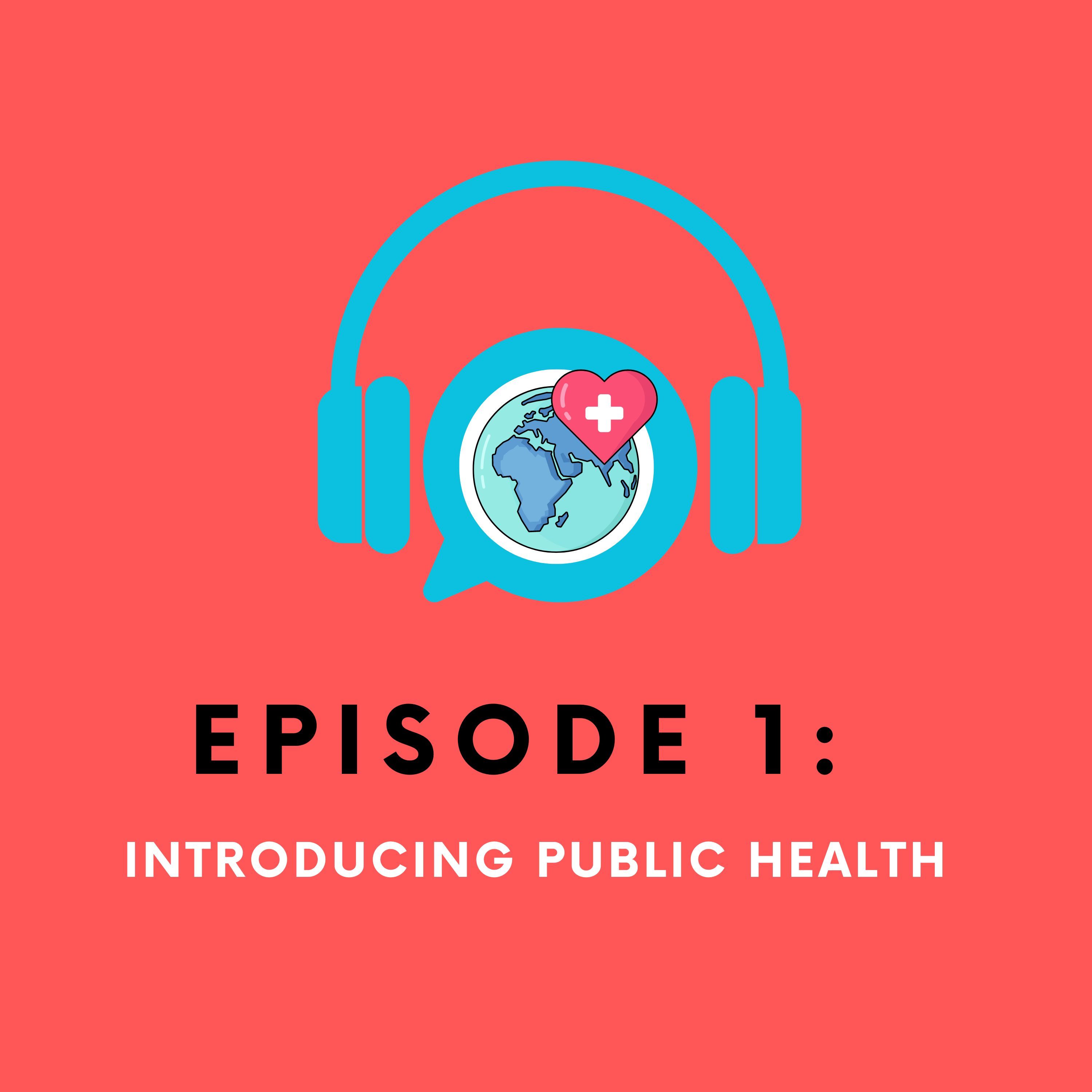 1 - Introducing Public Health 1 - Introducing Public Health