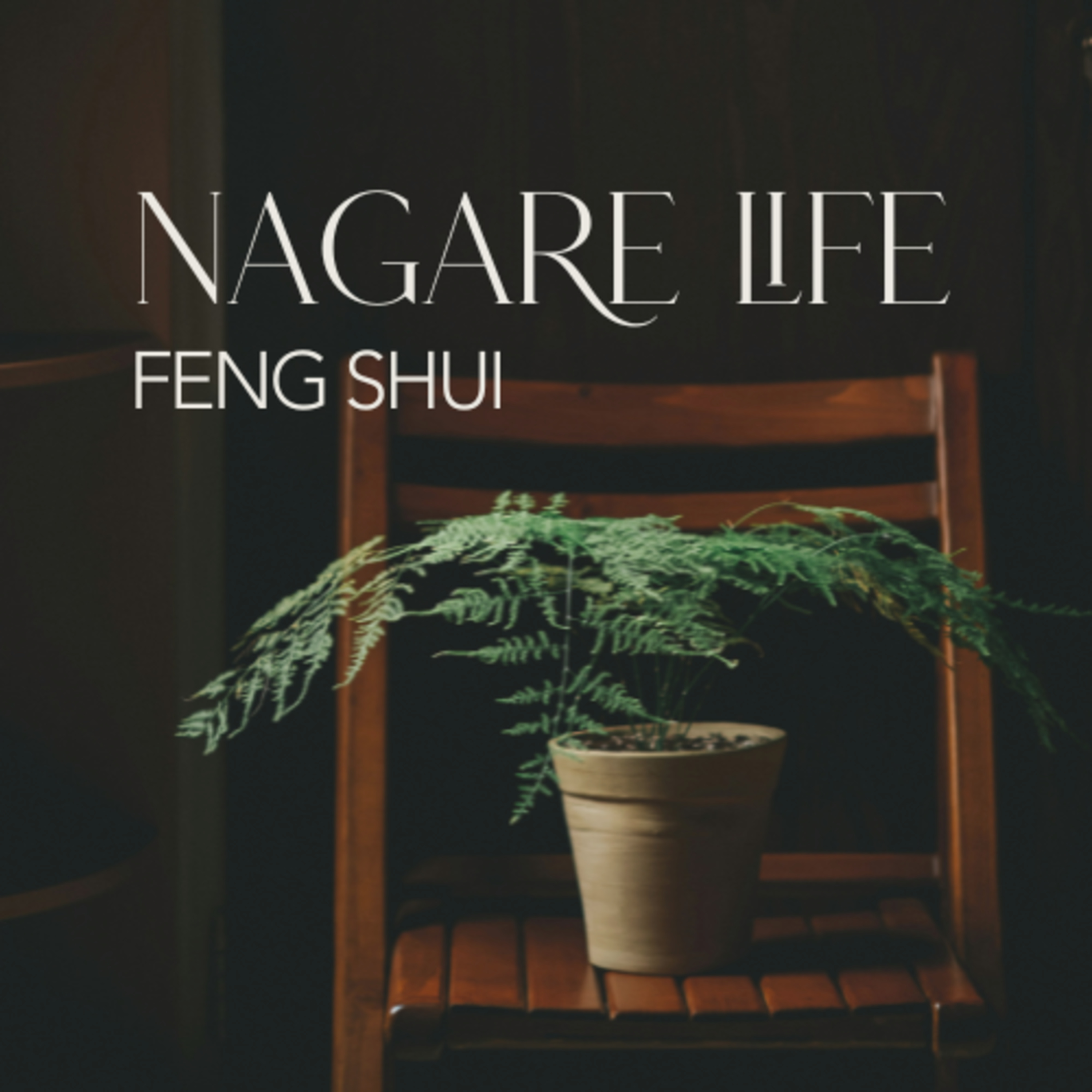 FIND YOUR FLOW with Lisa Roche