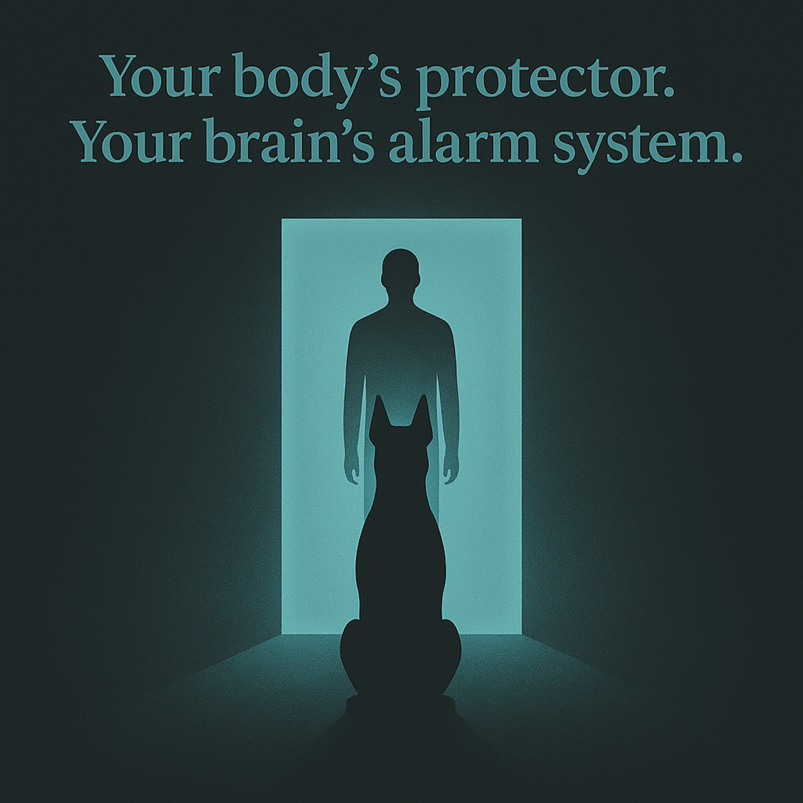 How Your Nervous System Acts Like A Guard Dog_3 Min Trailer 