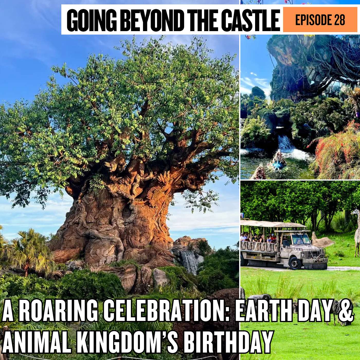 Going Beyond The Castle