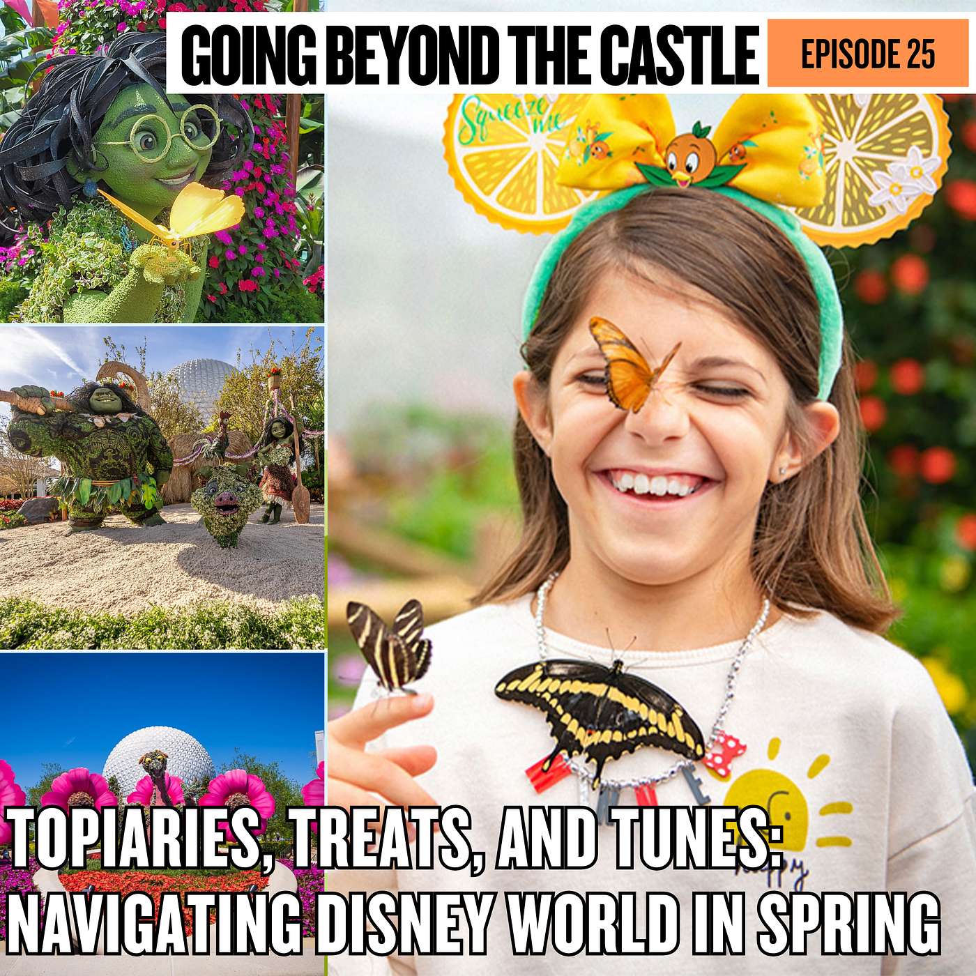 Going Beyond The Castle