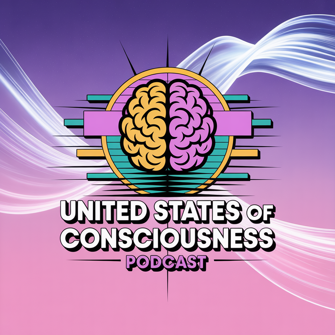 The United States of Consciousness