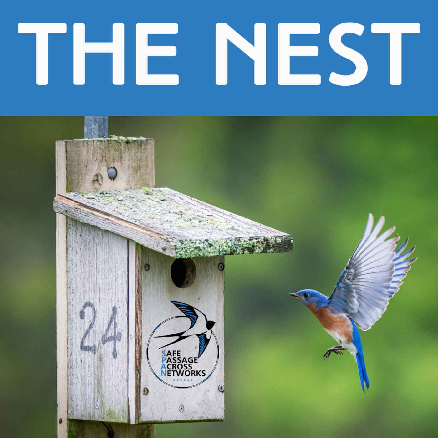 The Nest, from Safe Passage Across Networks (SPAN) cover art