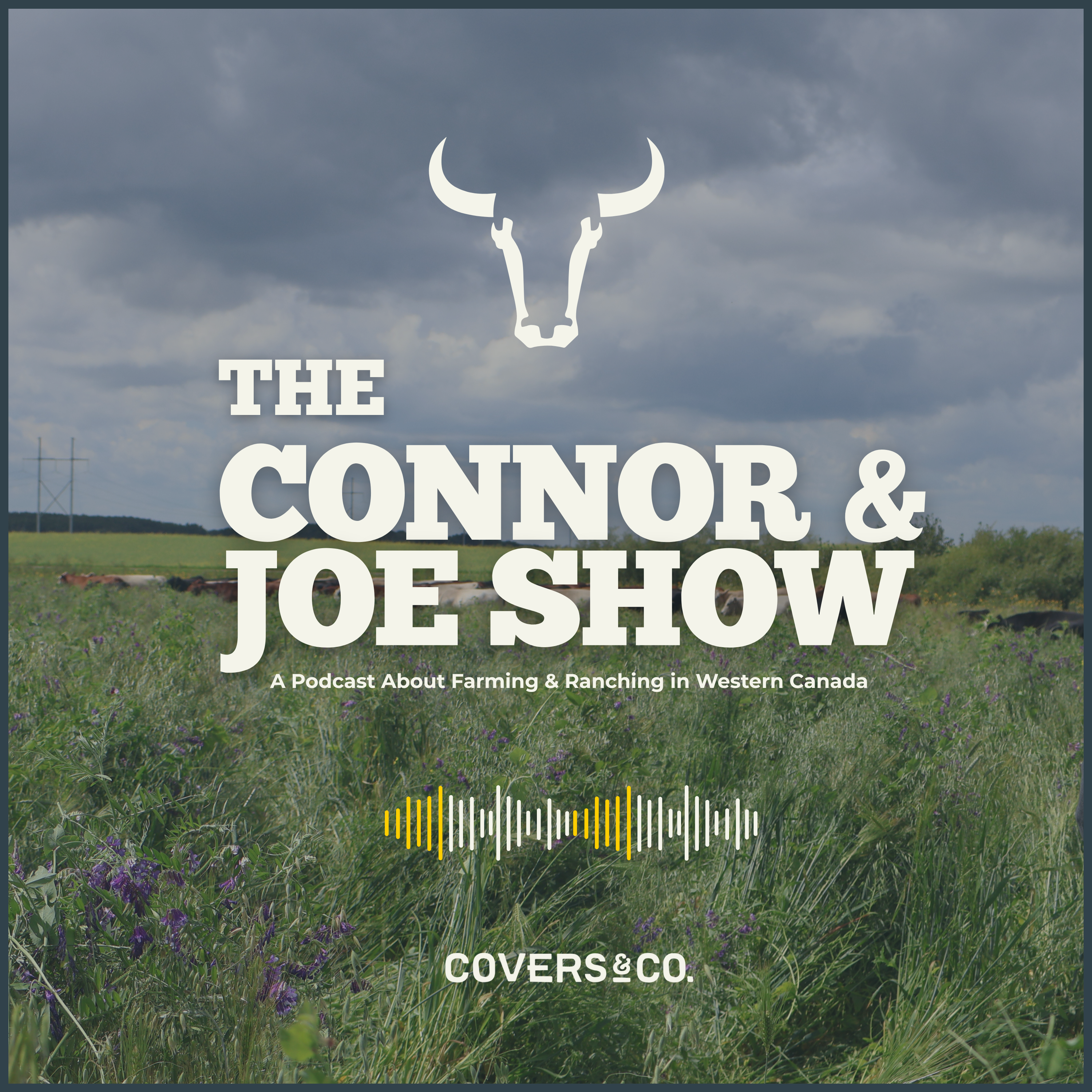 The Connor & Joe Show