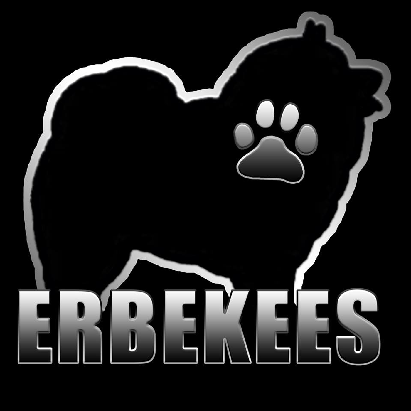 The Erbekees Experience cover art