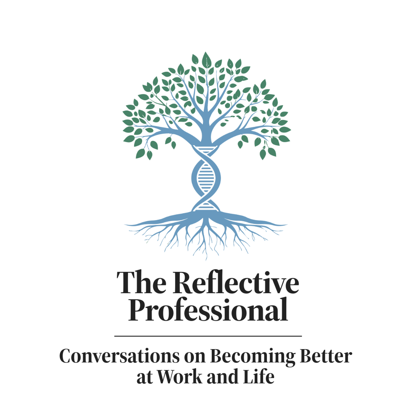 The Reflective Professional cover art
