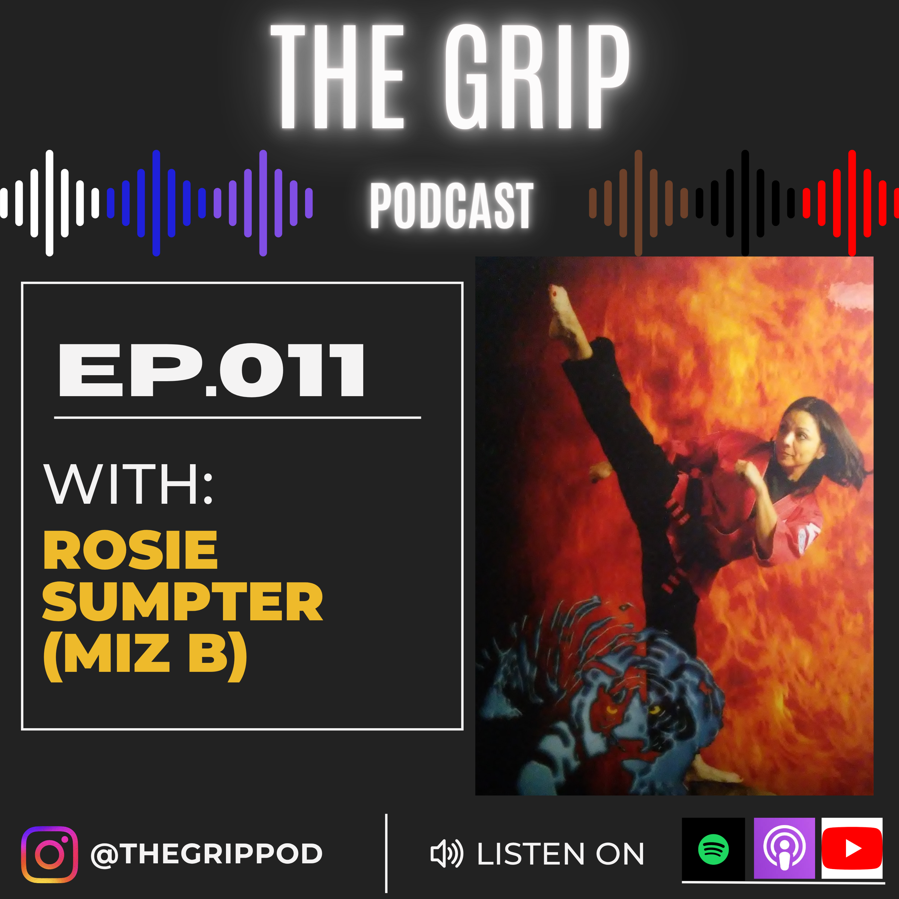 The Grip - Martial Arts Podcast