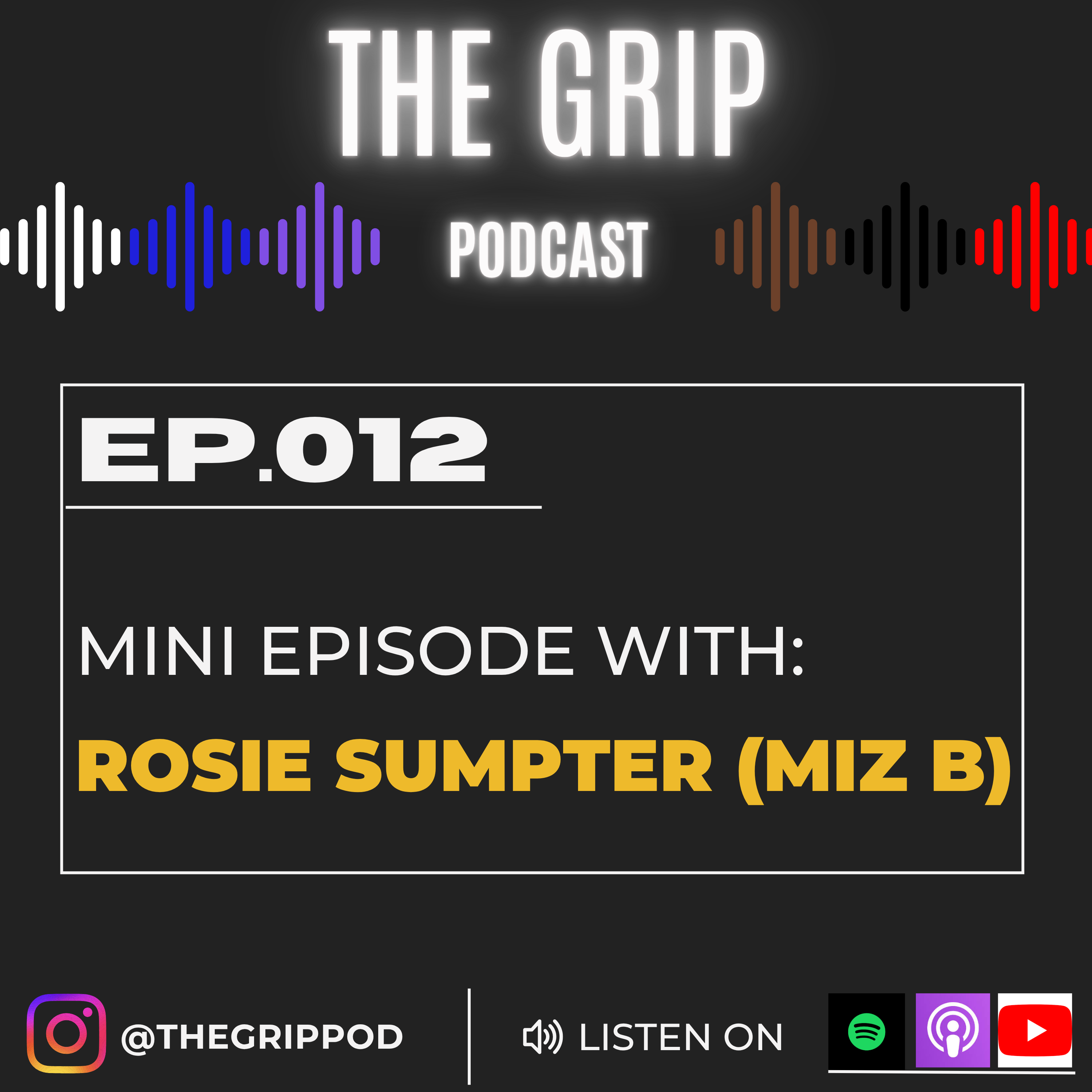 The Grip - Martial Arts Podcast