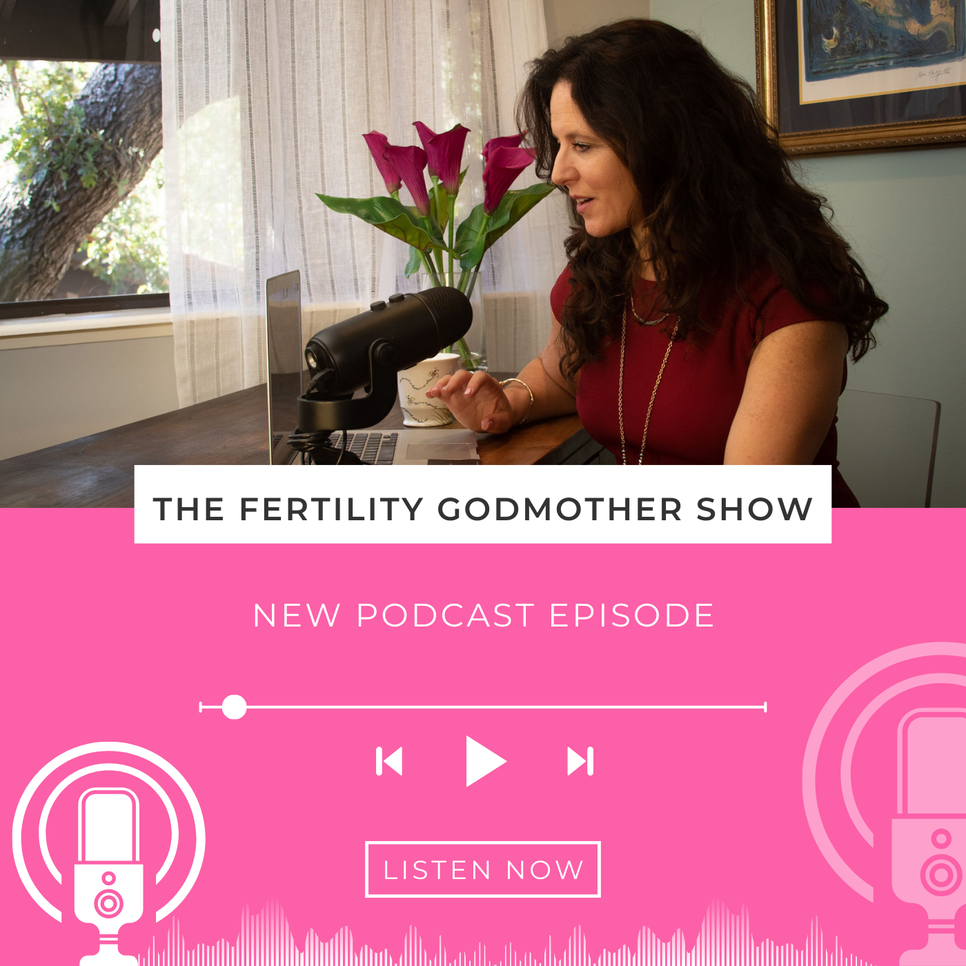 The Fertility Godmother Show cover art
