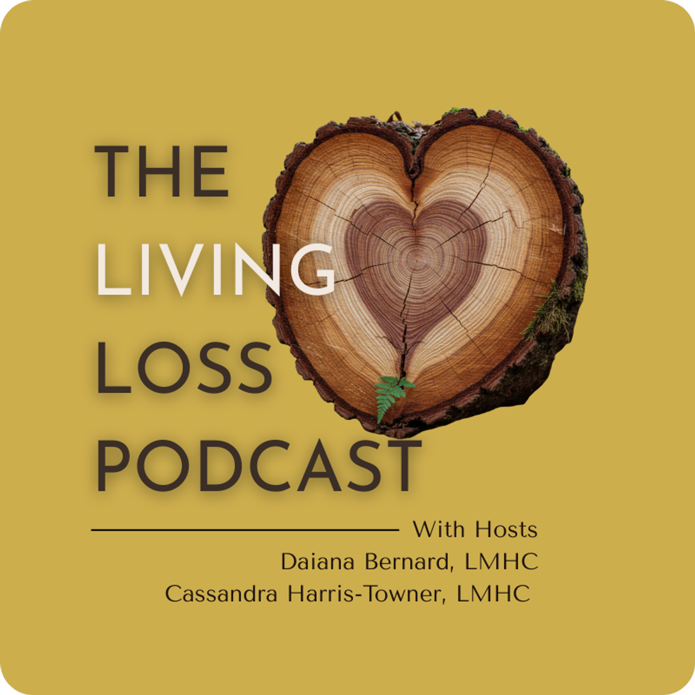 The Living Loss: Non-Death Grief & Mental Health
