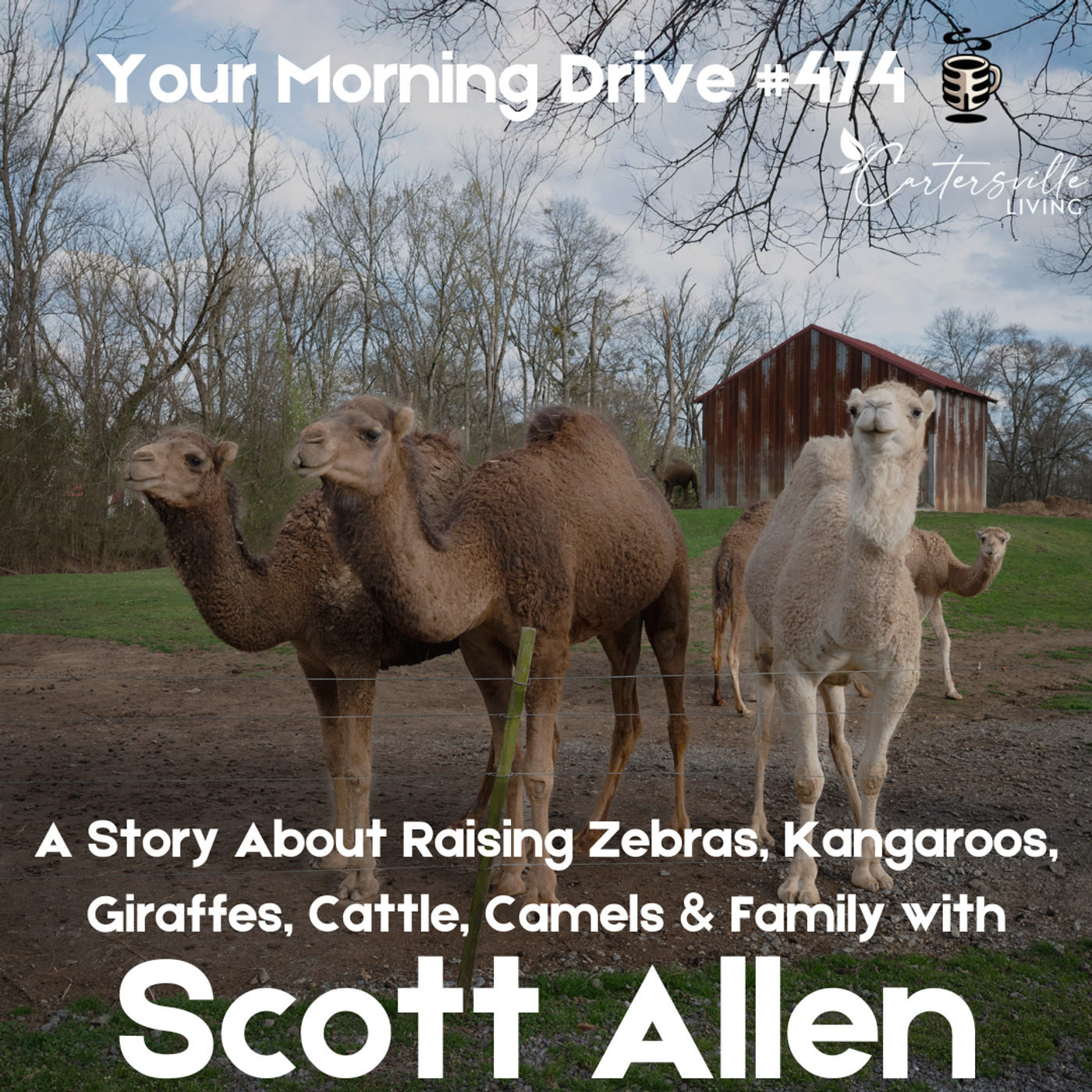 A Story About Raising Zebras, Kangaroos, Giraffes, Cattle, Camels & Family w/ Scott Allen