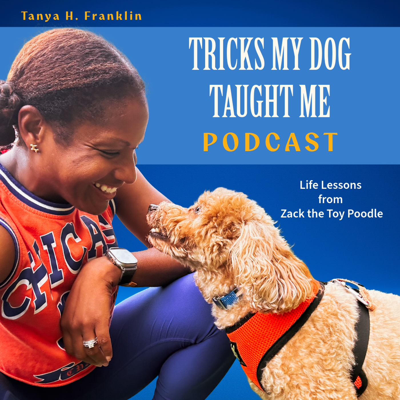 Tricks My Dog Taught Me with Tanya H. Franklin : Life Lessons from Zack the Toy Poodle