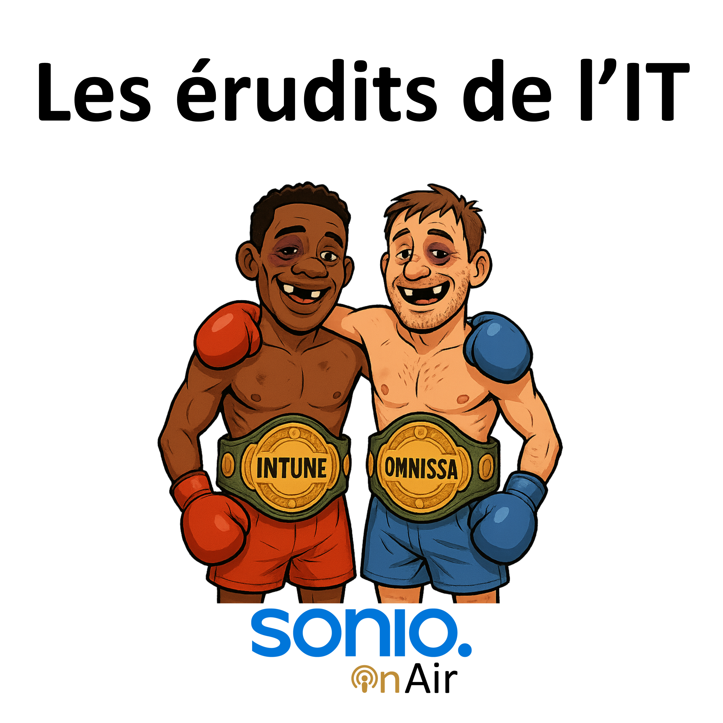 Les érudits de l\'IT
