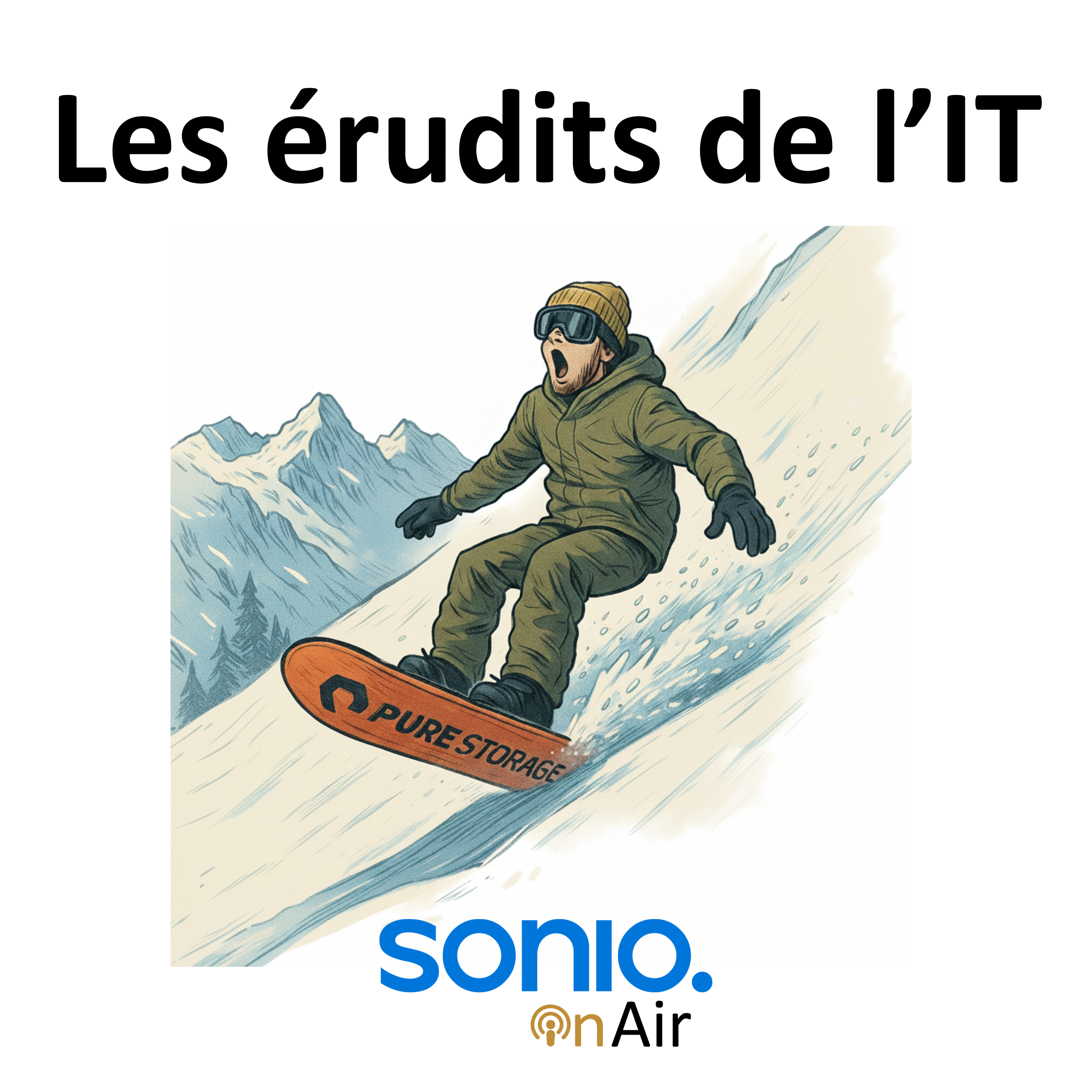 Les érudits de l\'IT