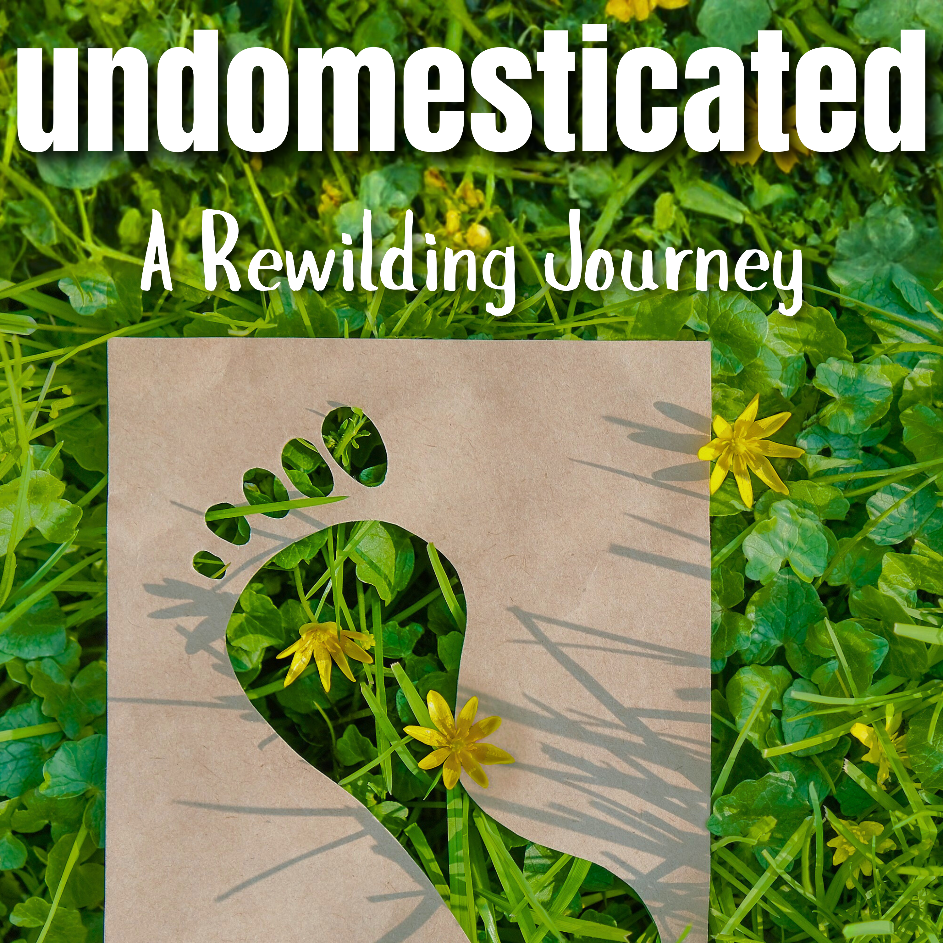 undomesticated: A Rewilding Journey cover art