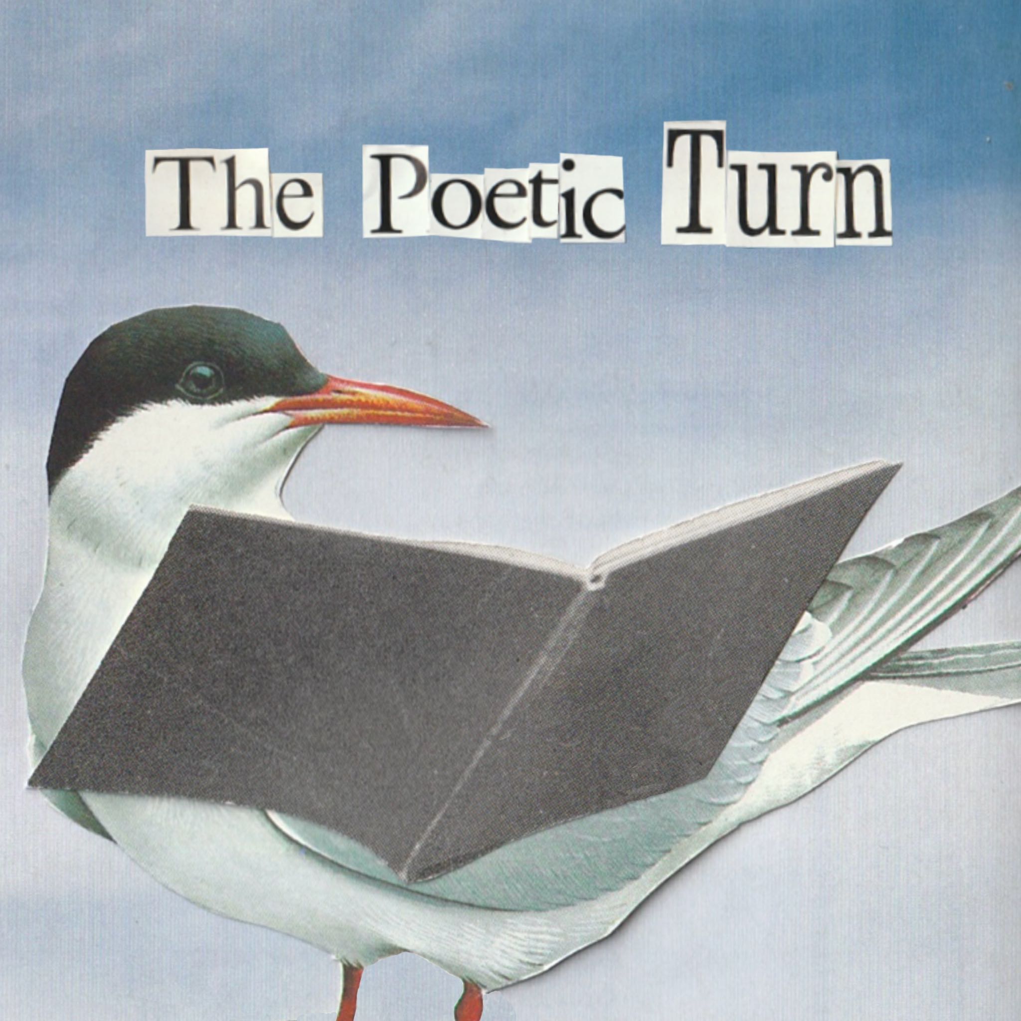 The Poetic Turn
