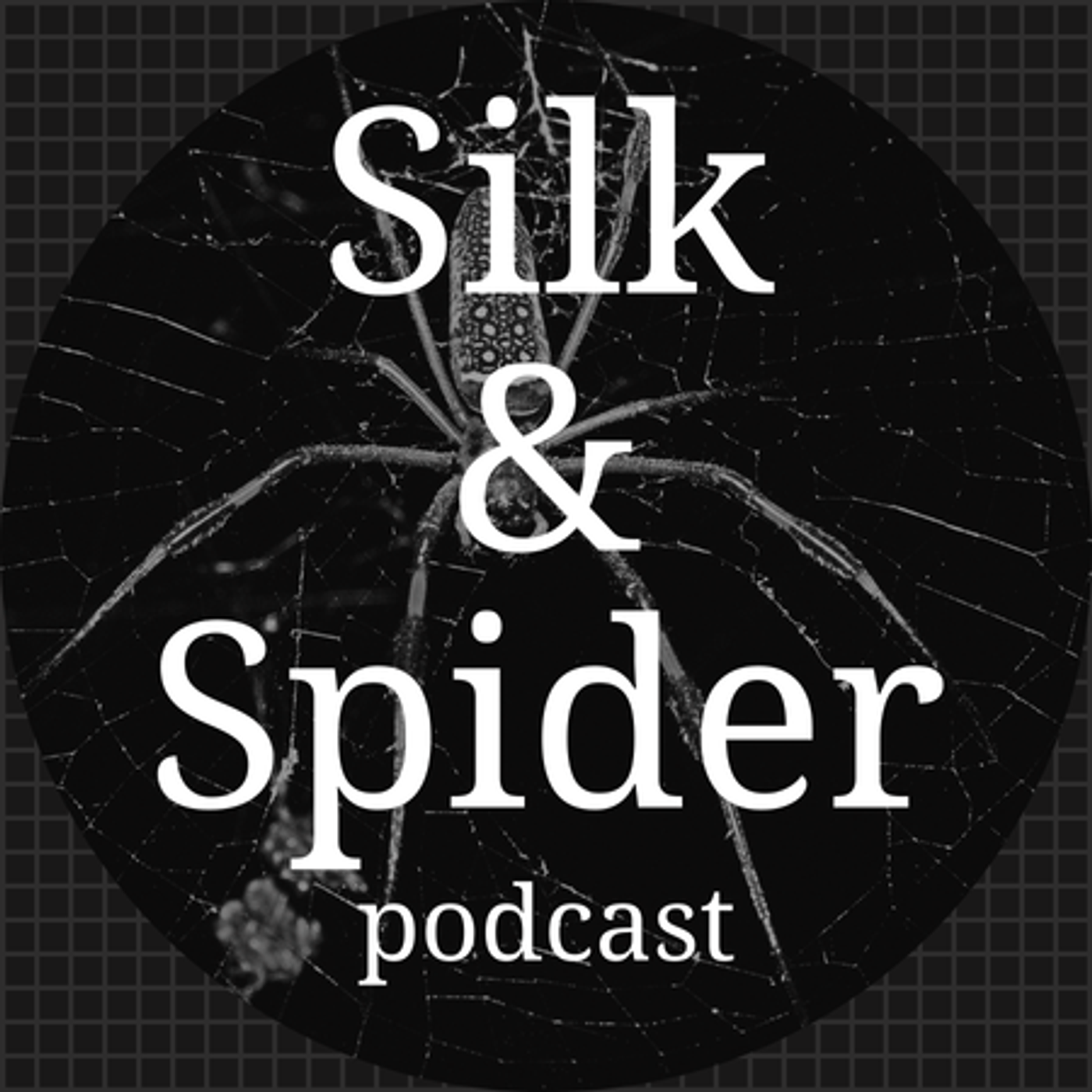Silk & Spider cover art