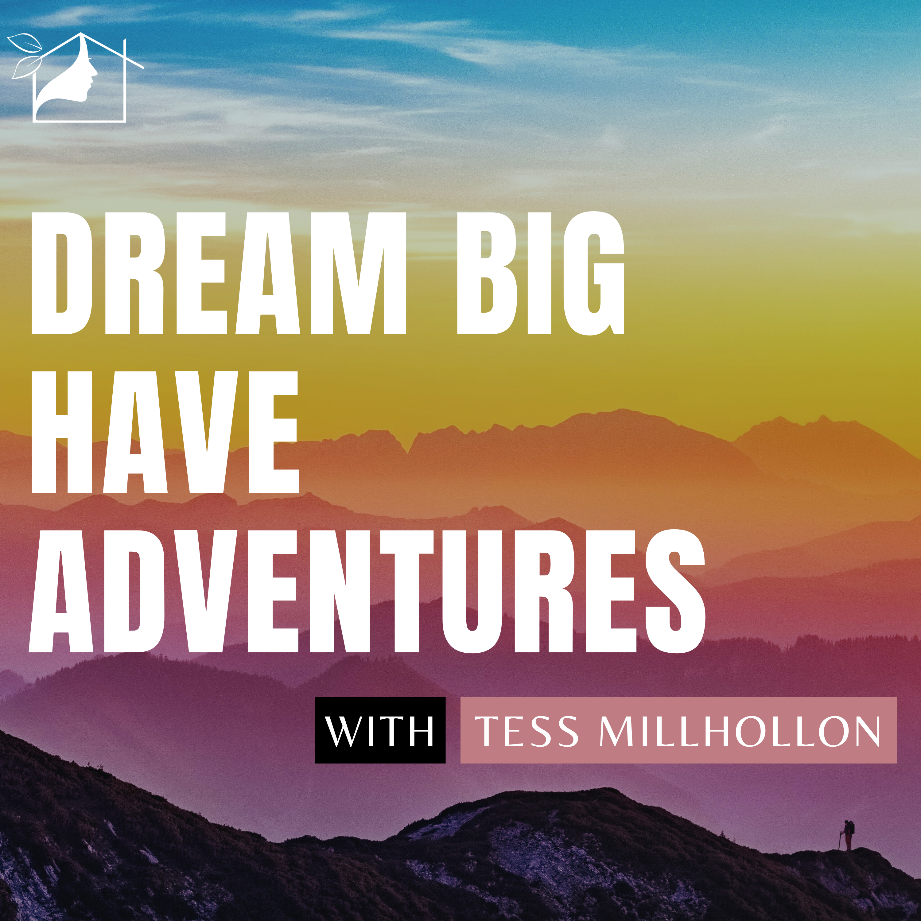 Dream Big Have Adventures cover art