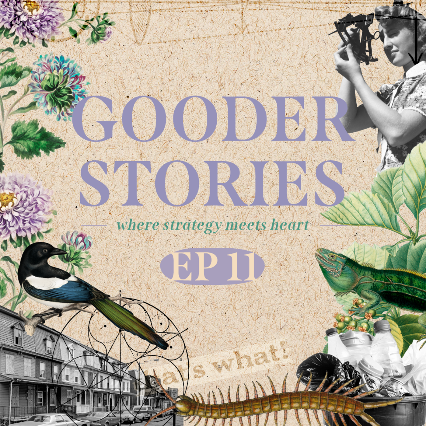 Gooder Stories
