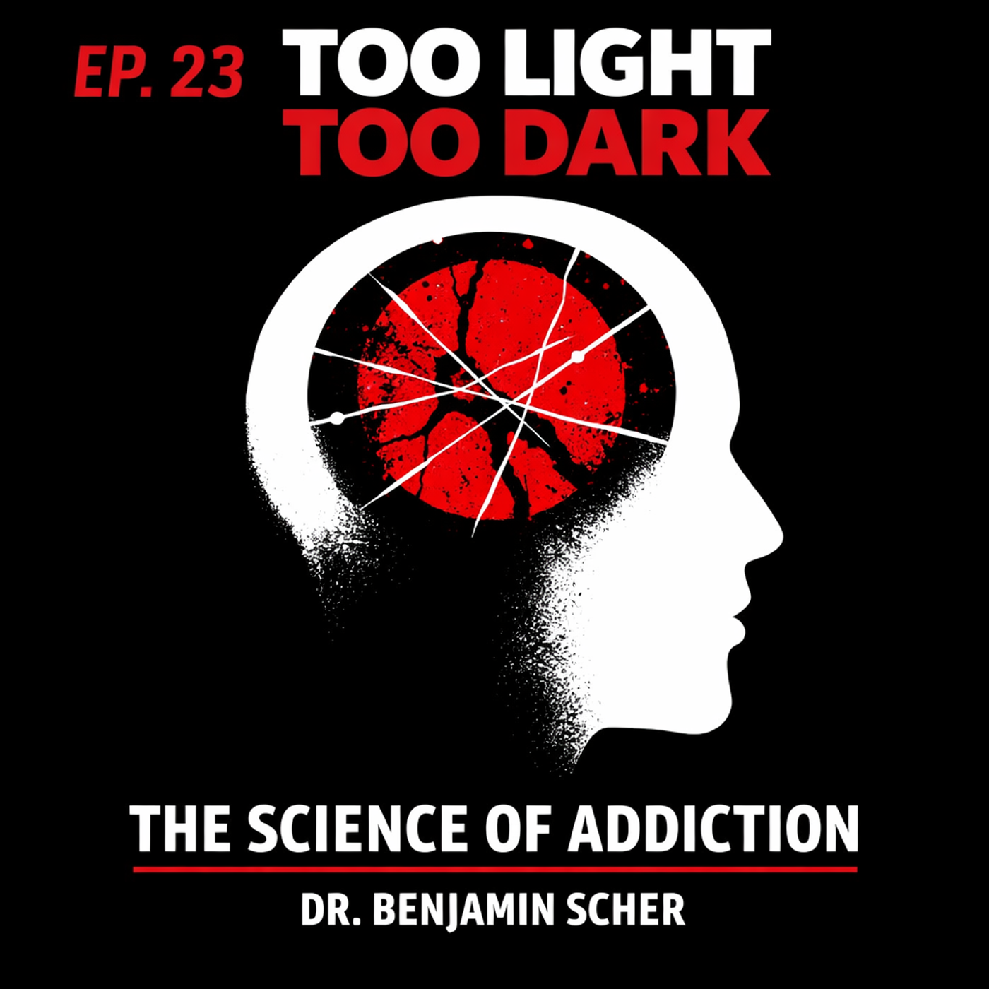 #23 - The Science of Addiction and Harm Reduction - Dr Benjamin D.Scher