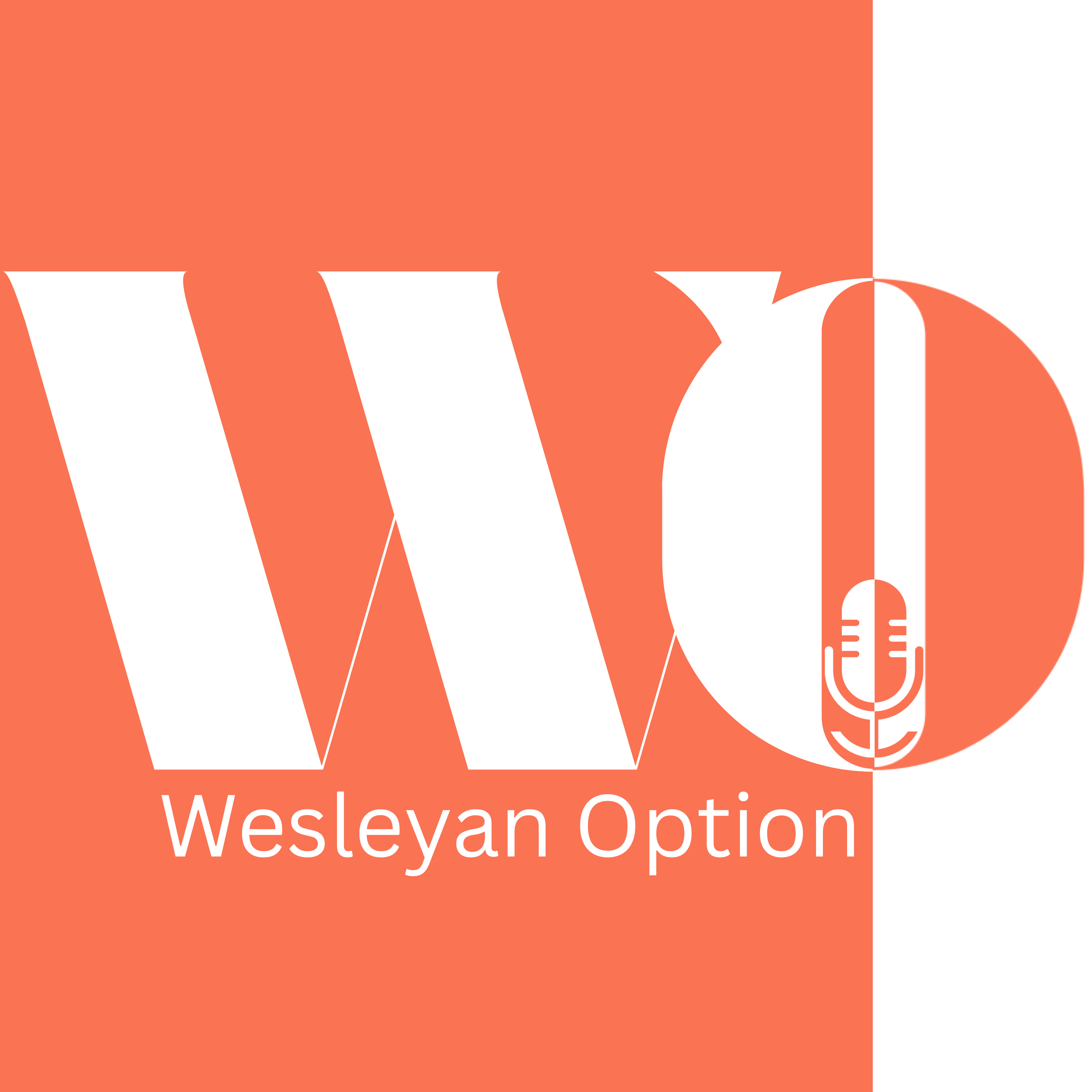 Wesleyan Option