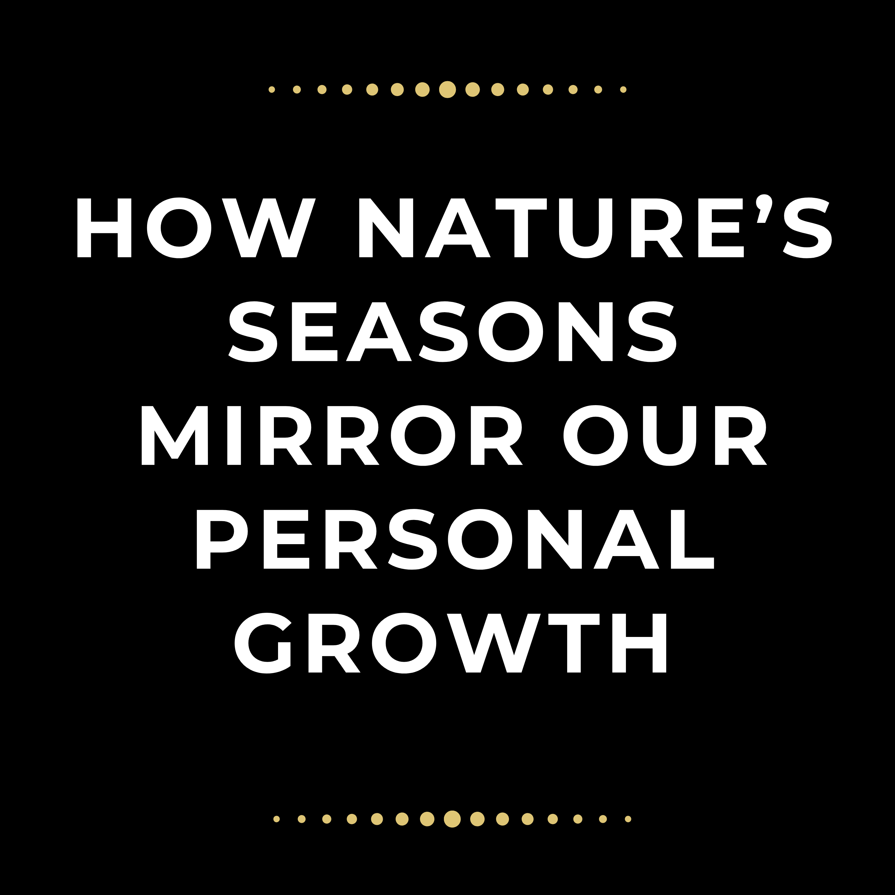 Summer of Yes: Love Rekindled, Words in Bloom, and Trusting the Unfolding