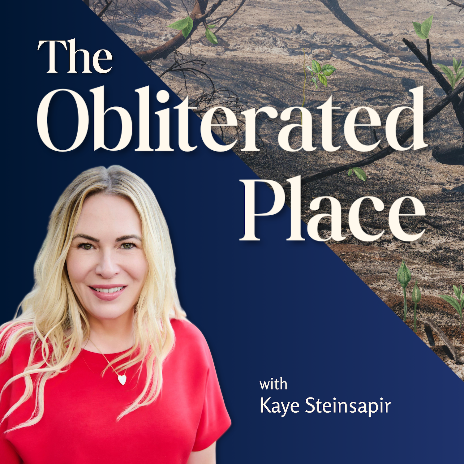 The Obliterated Place with Kaye Steinsapir cover art