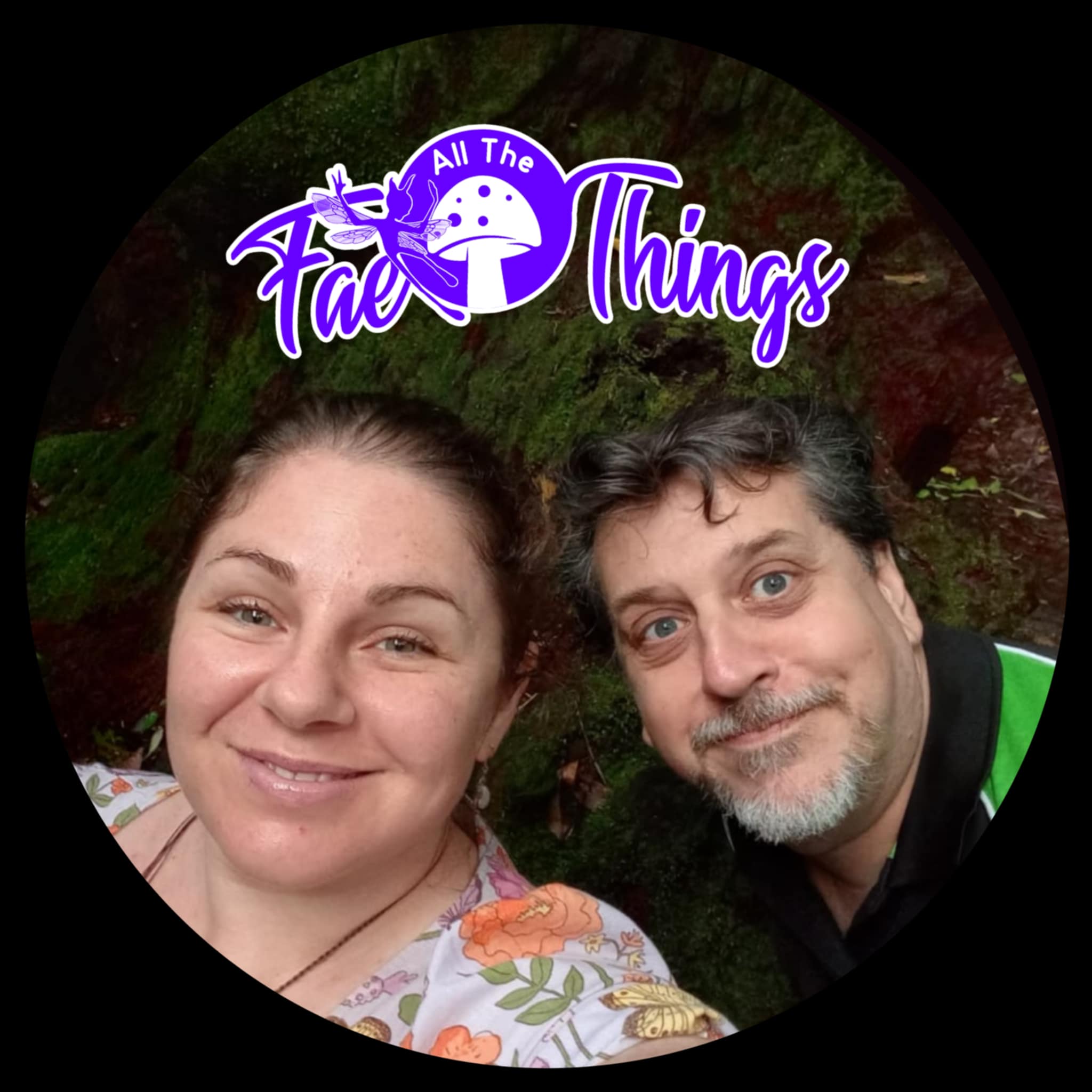 All The Fae Things cover art