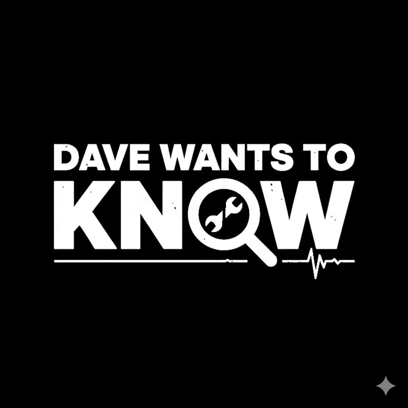 Dave Wants to Know cover art