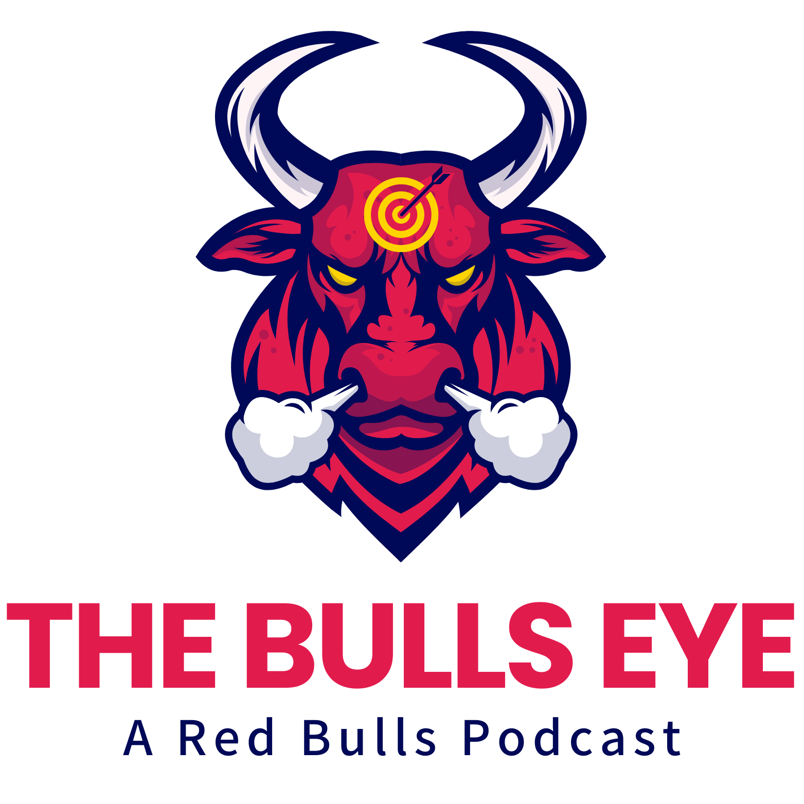 The Bulls Eye: A RBNY Podcast cover art