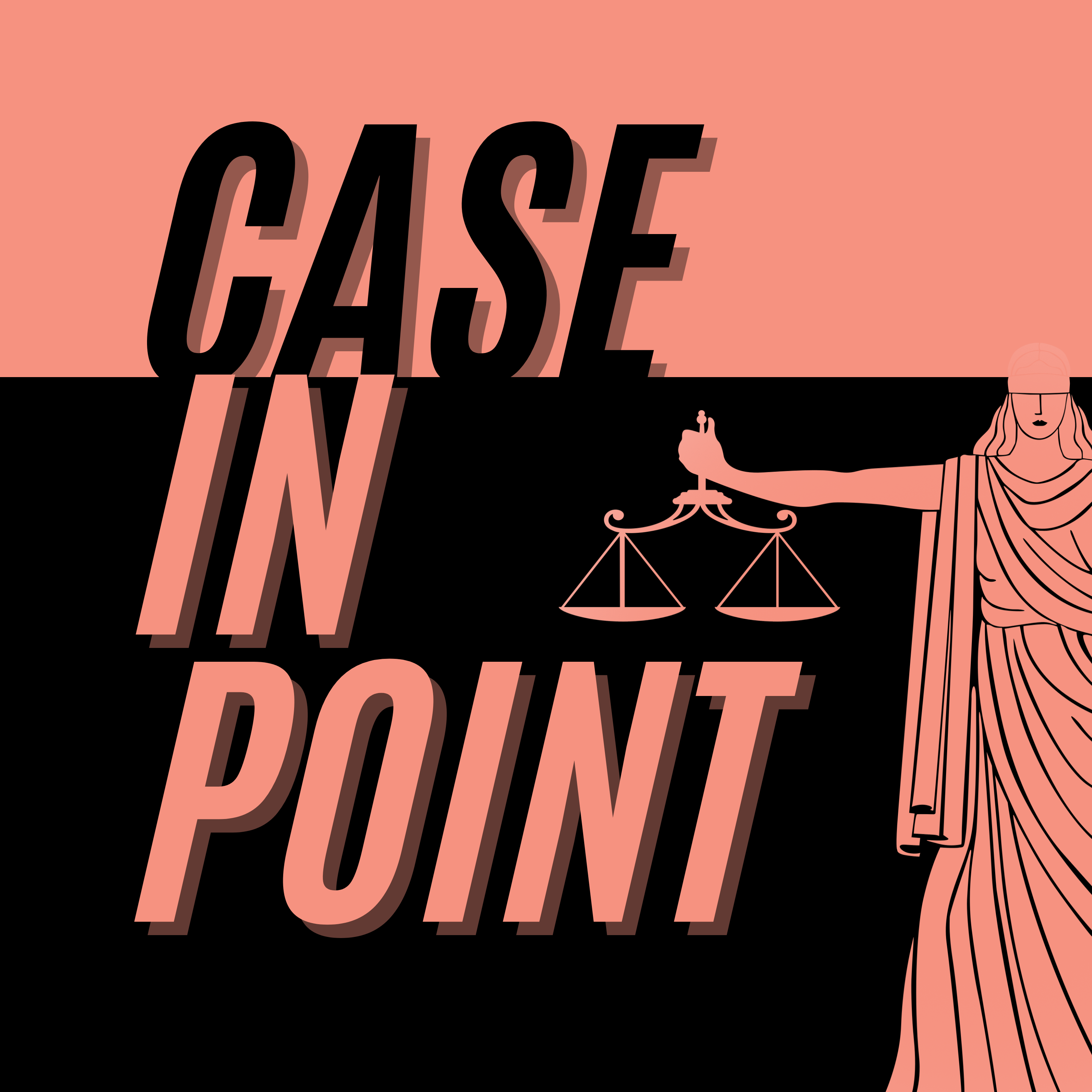 Case In Point Artwork