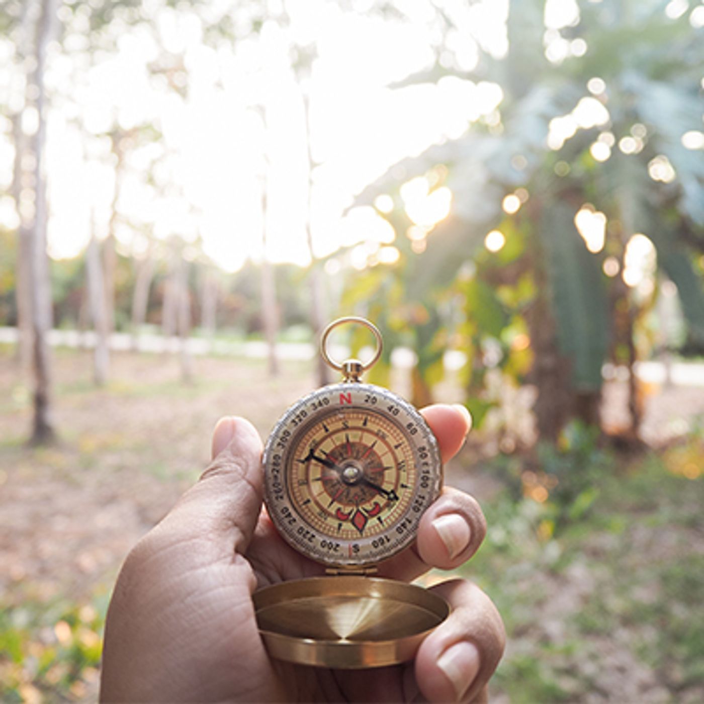 Finding God’s Will: Walking in His Wisdom