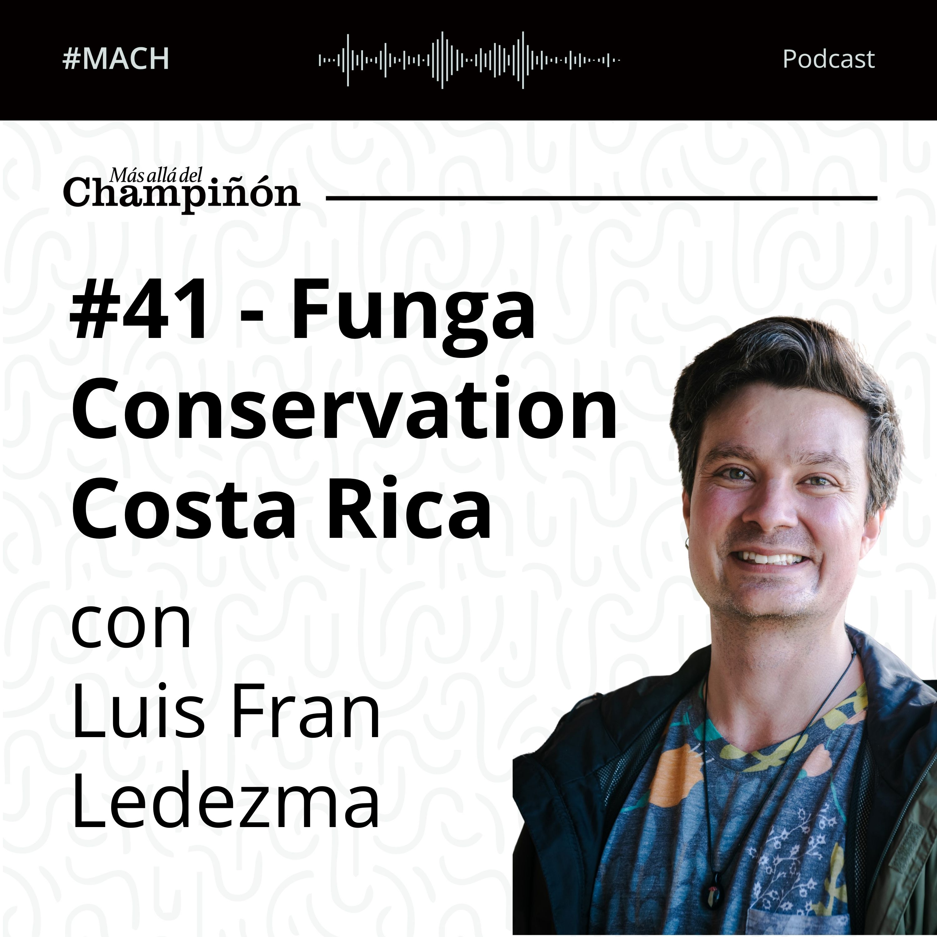 Más allá del Champiñón Podcast