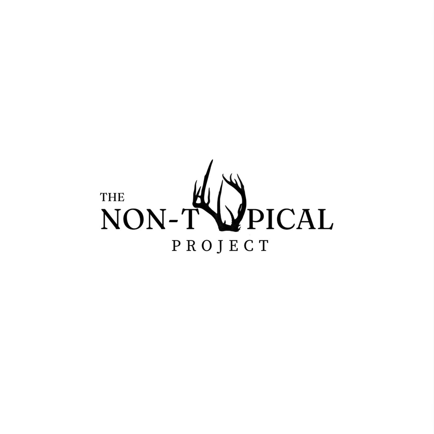 The Non-Typical Project