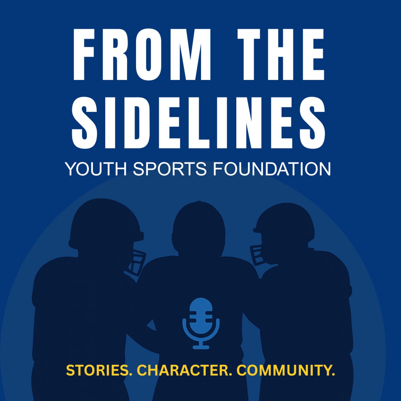 From the Sidelines: Youth Sports Foundation cover art
