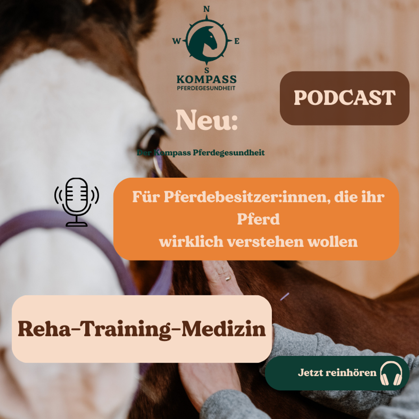 Kompass Pferdegesundheit cover art