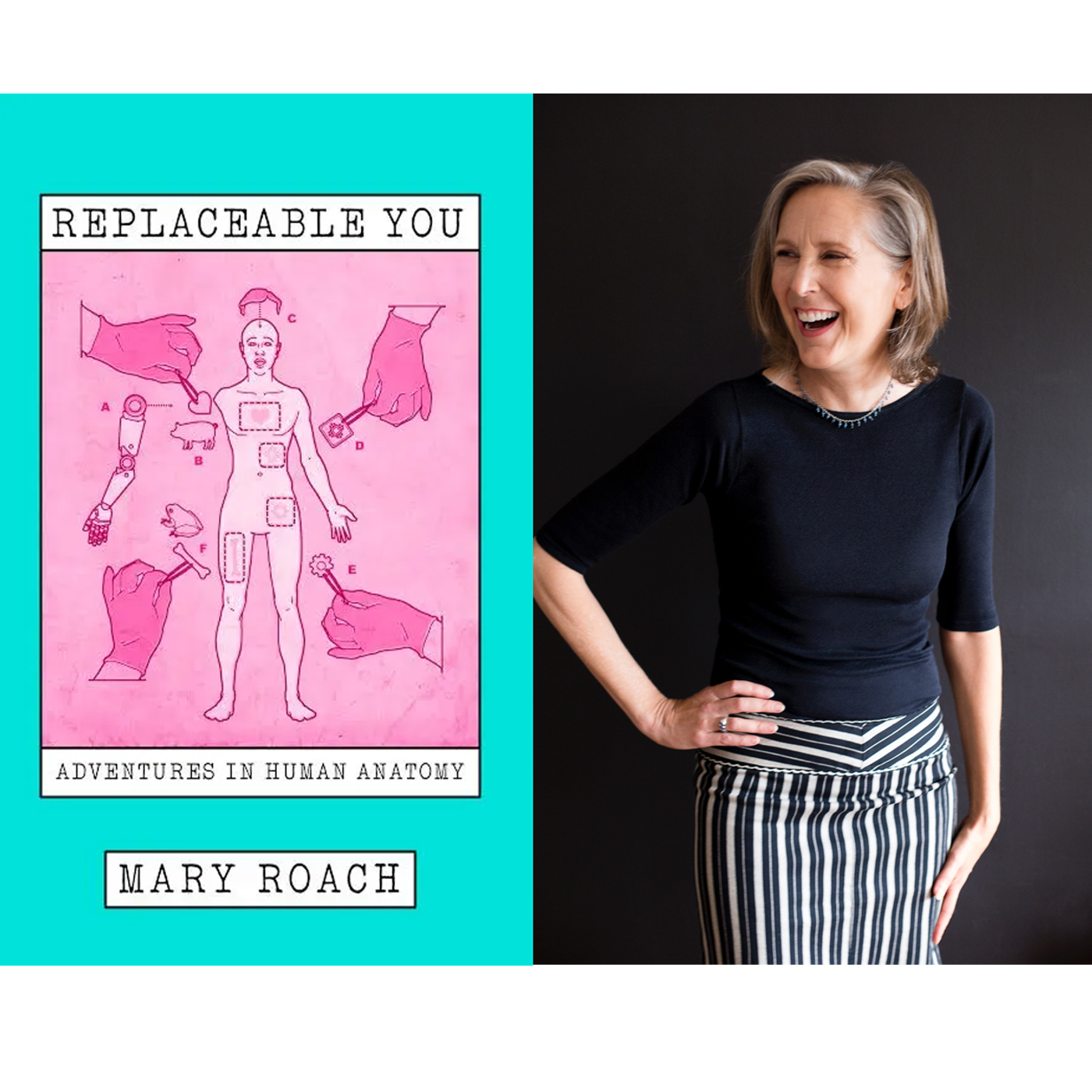 Where Are We At With Body (re)Building?