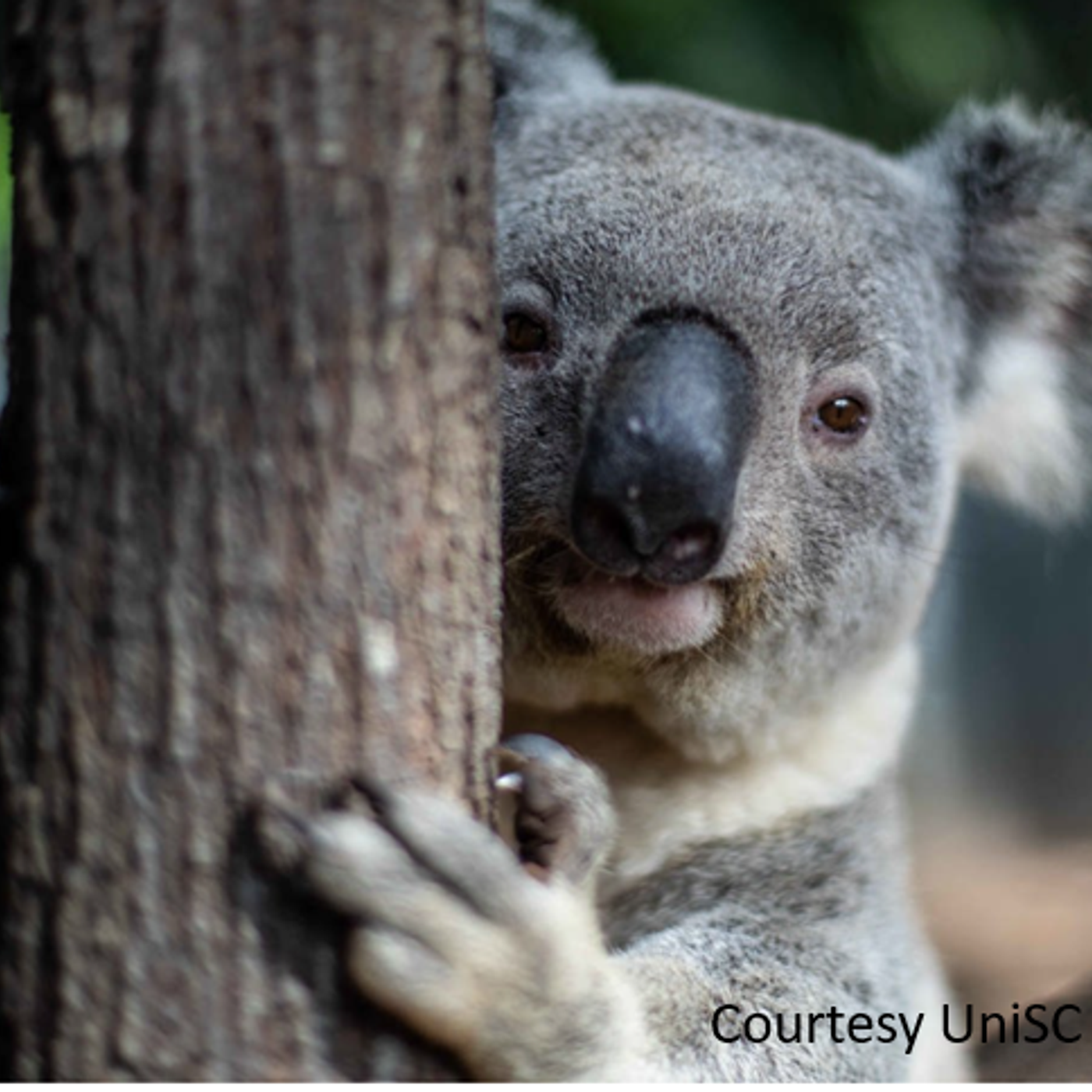 Where Are We At With...?