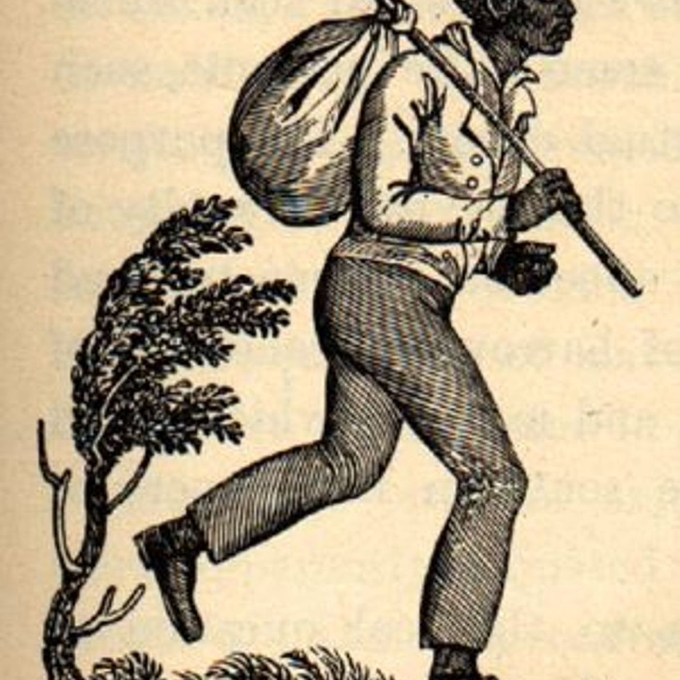 #THE REAL BLACK VOICE!