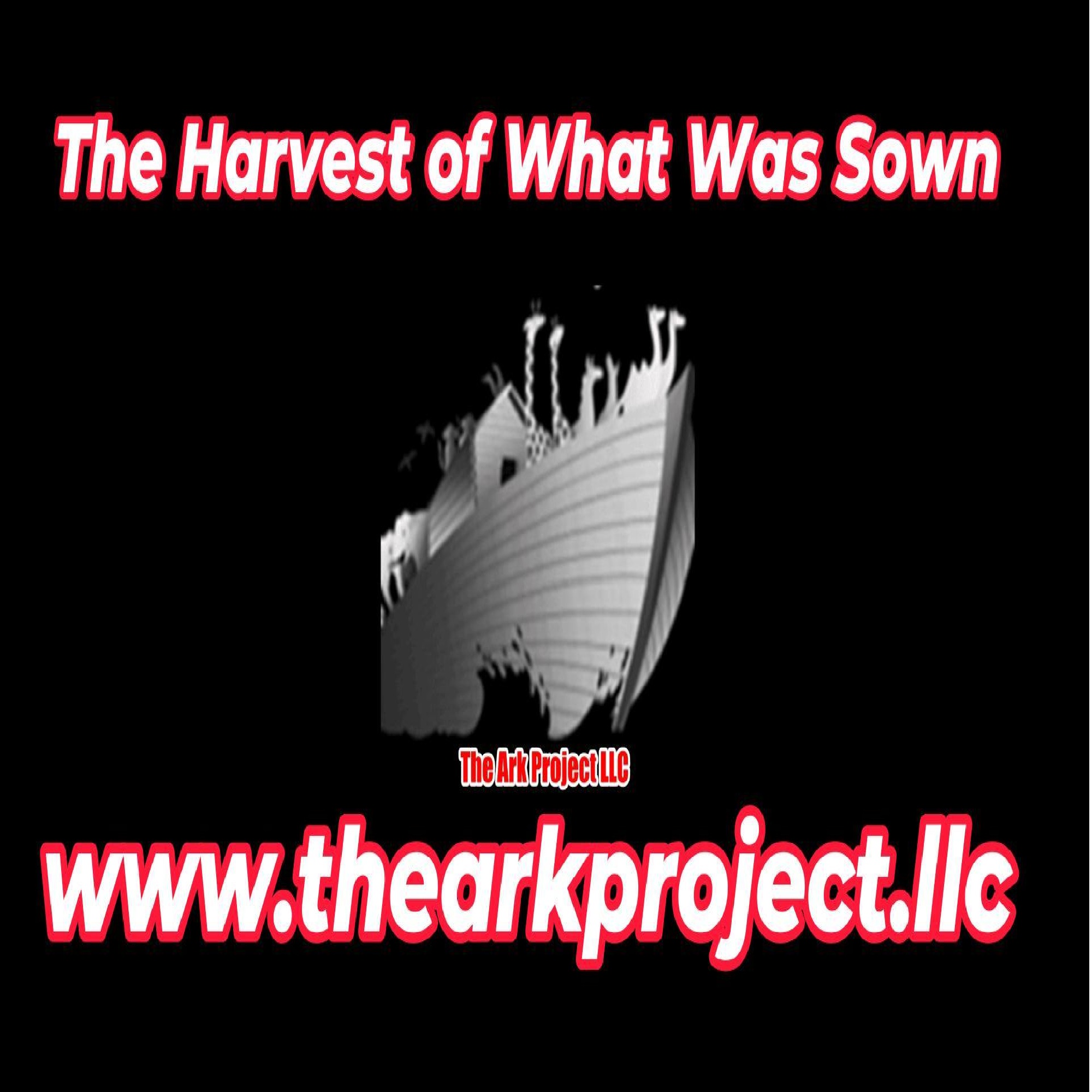 #THE REAL BLACK VOICE!