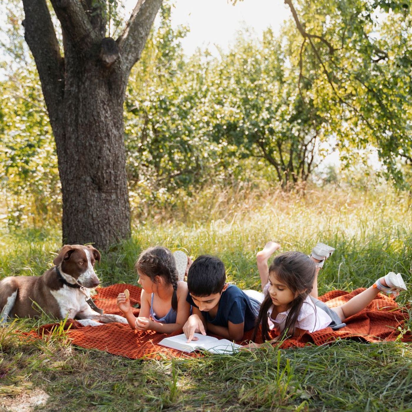 Can I Get a Whiteboard? cover art