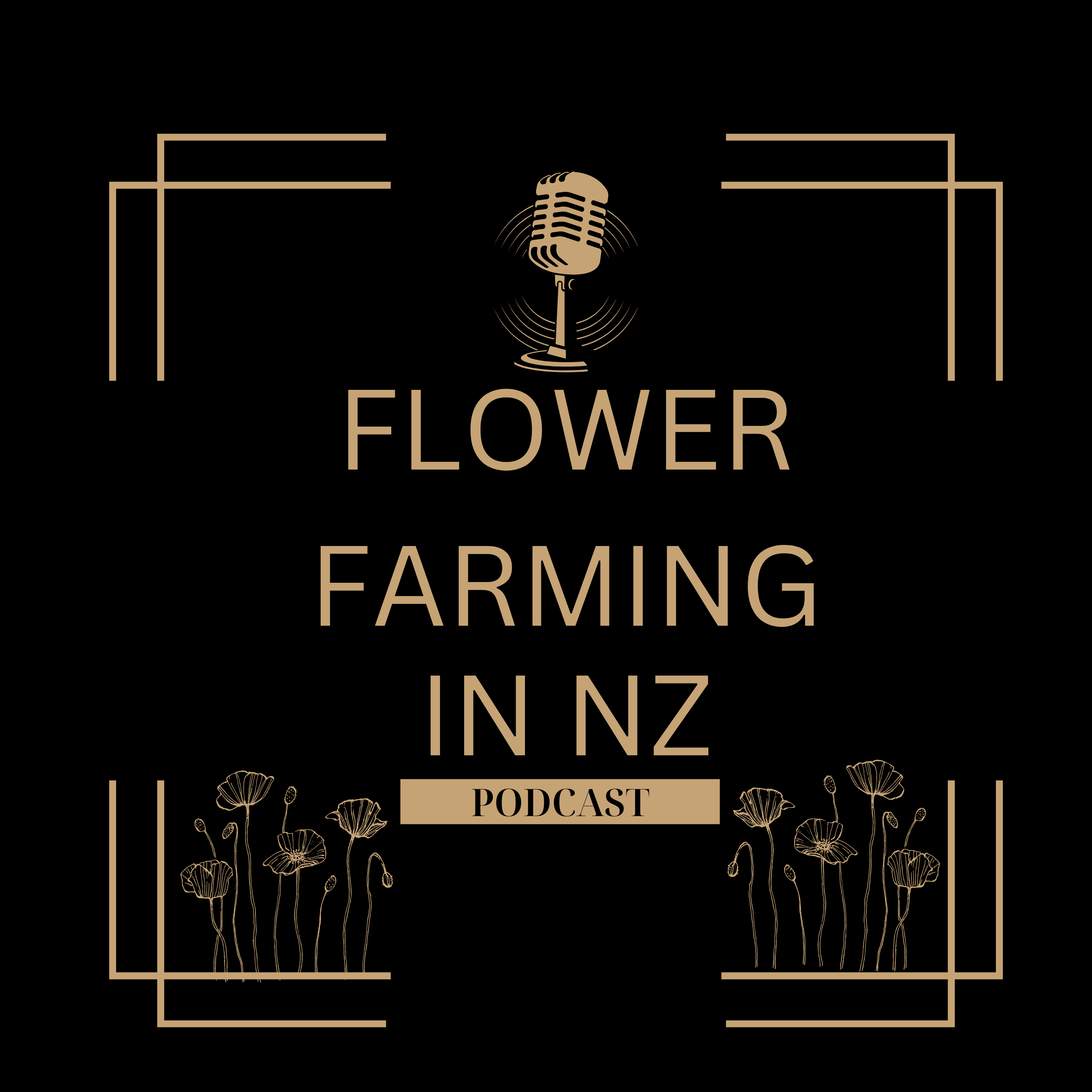 Flower Farming in New Zealand