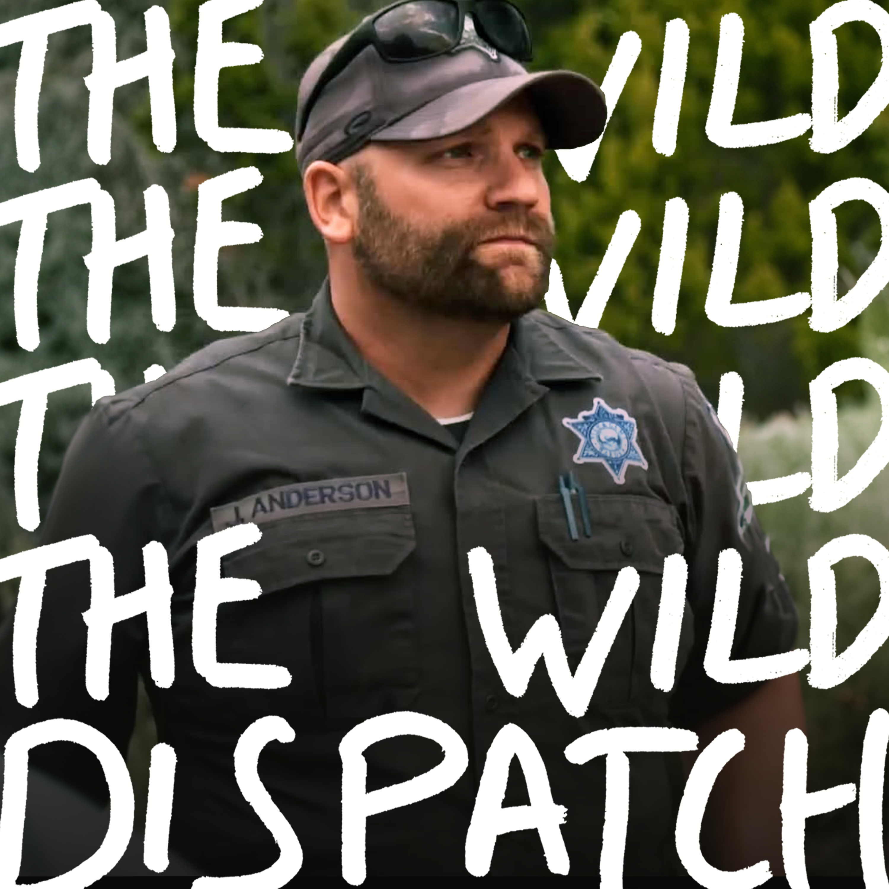 The Wild Dispatch