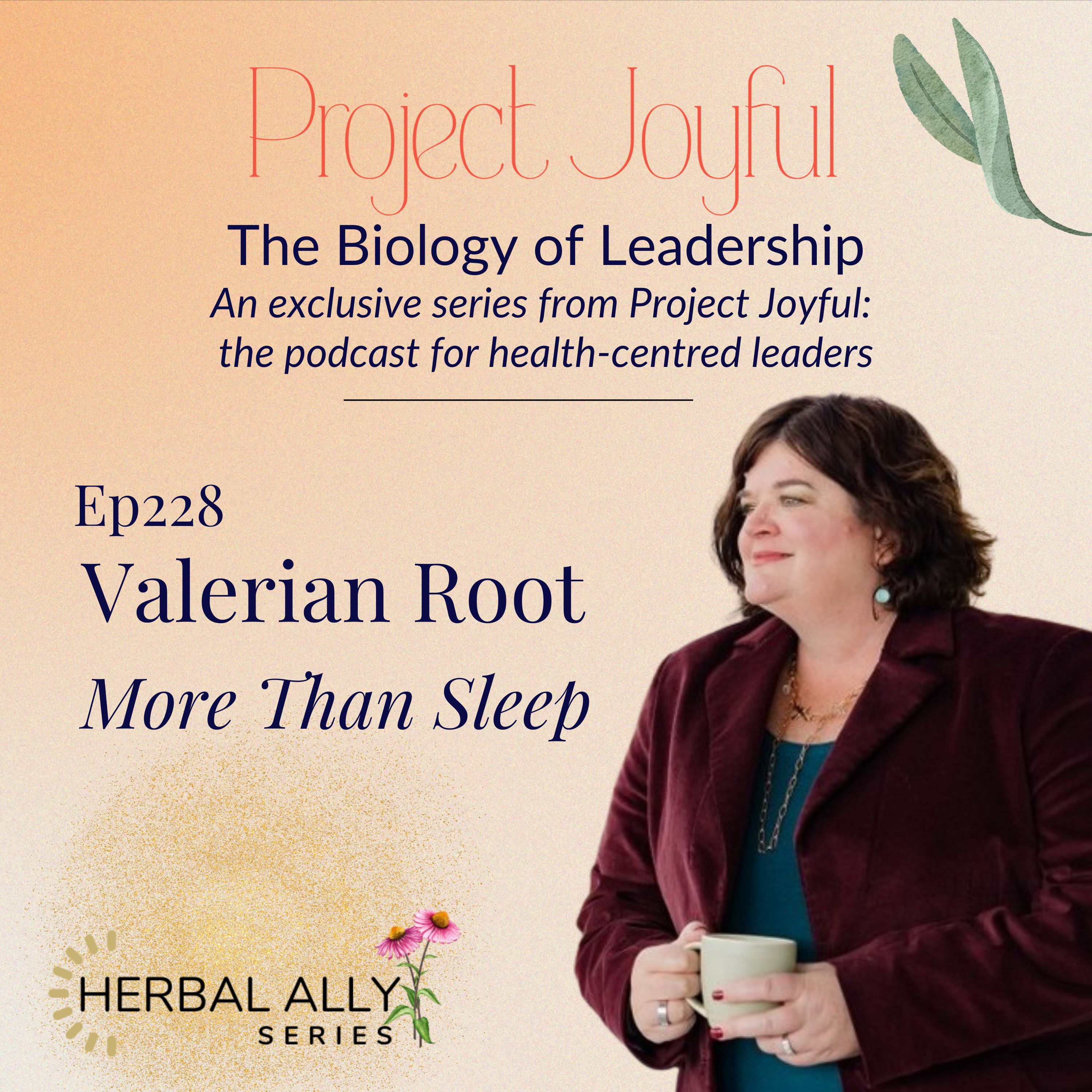 Herbal Ally Series - Valerian Root - More than a Sleep Herb
