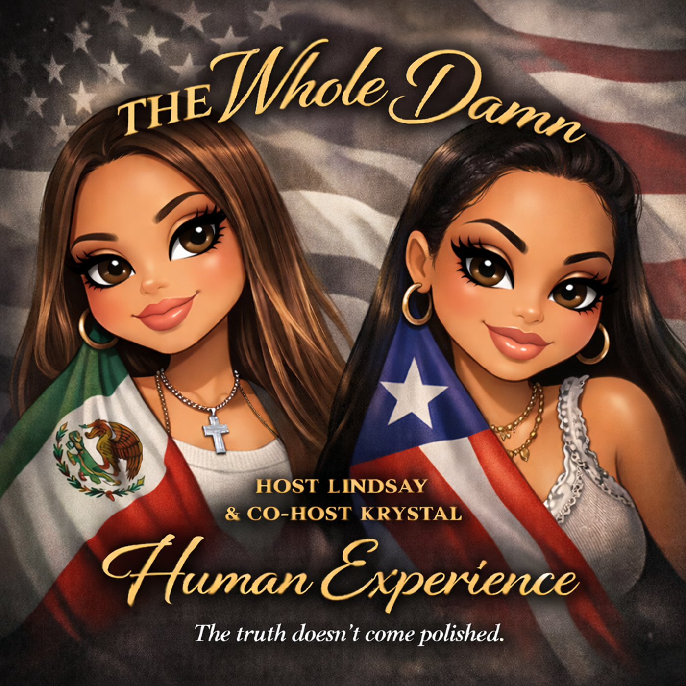 The Whole Damn Human Experience cover art