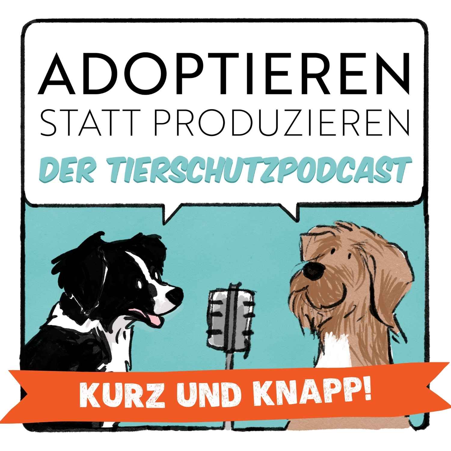 Kurz und Knapp! Qualzucht bei Katzen Kurz und Knapp! Qualzucht bei Katzen