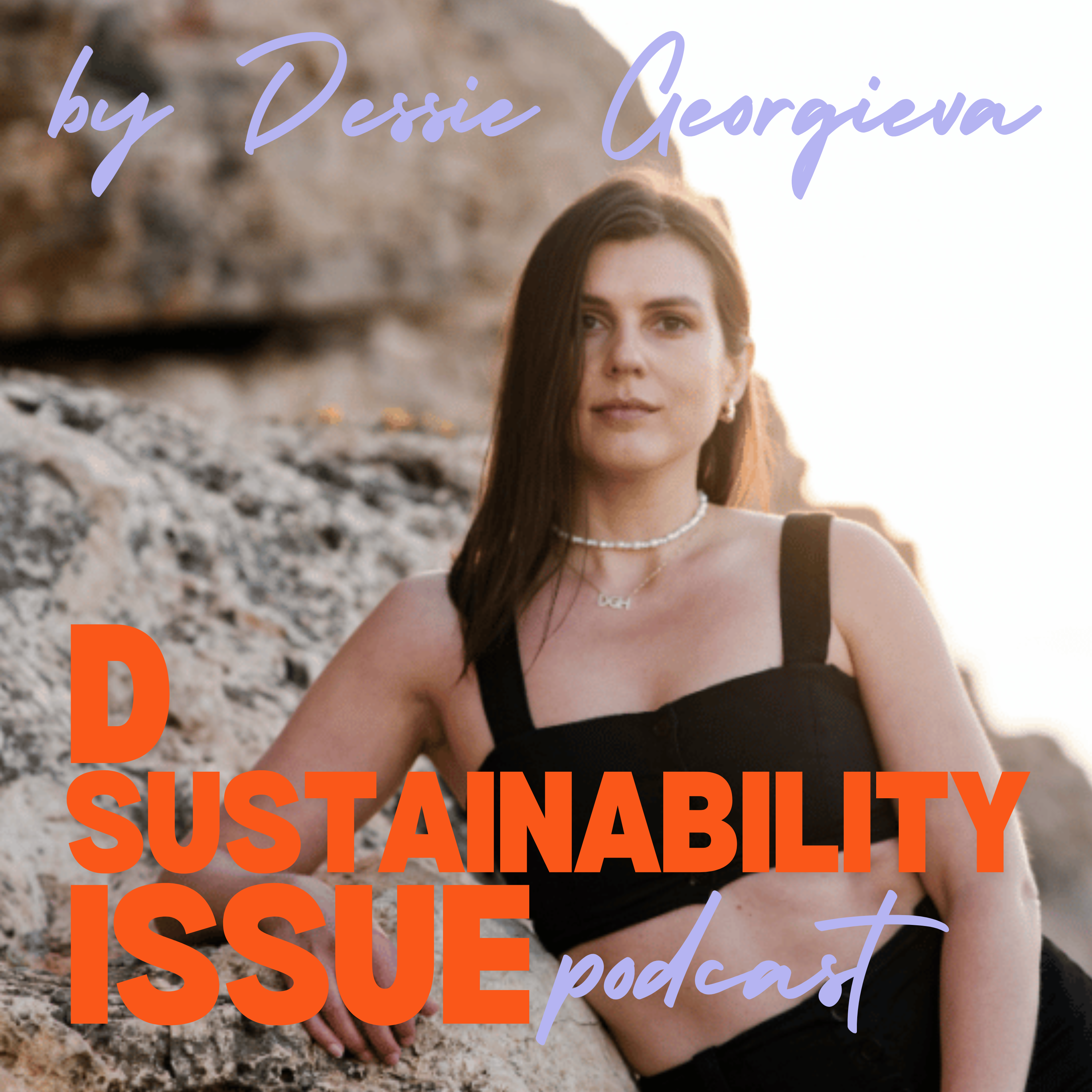 D Sustainability Issue