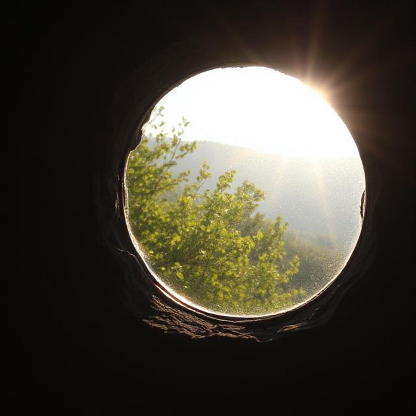 Look in Through the Glass